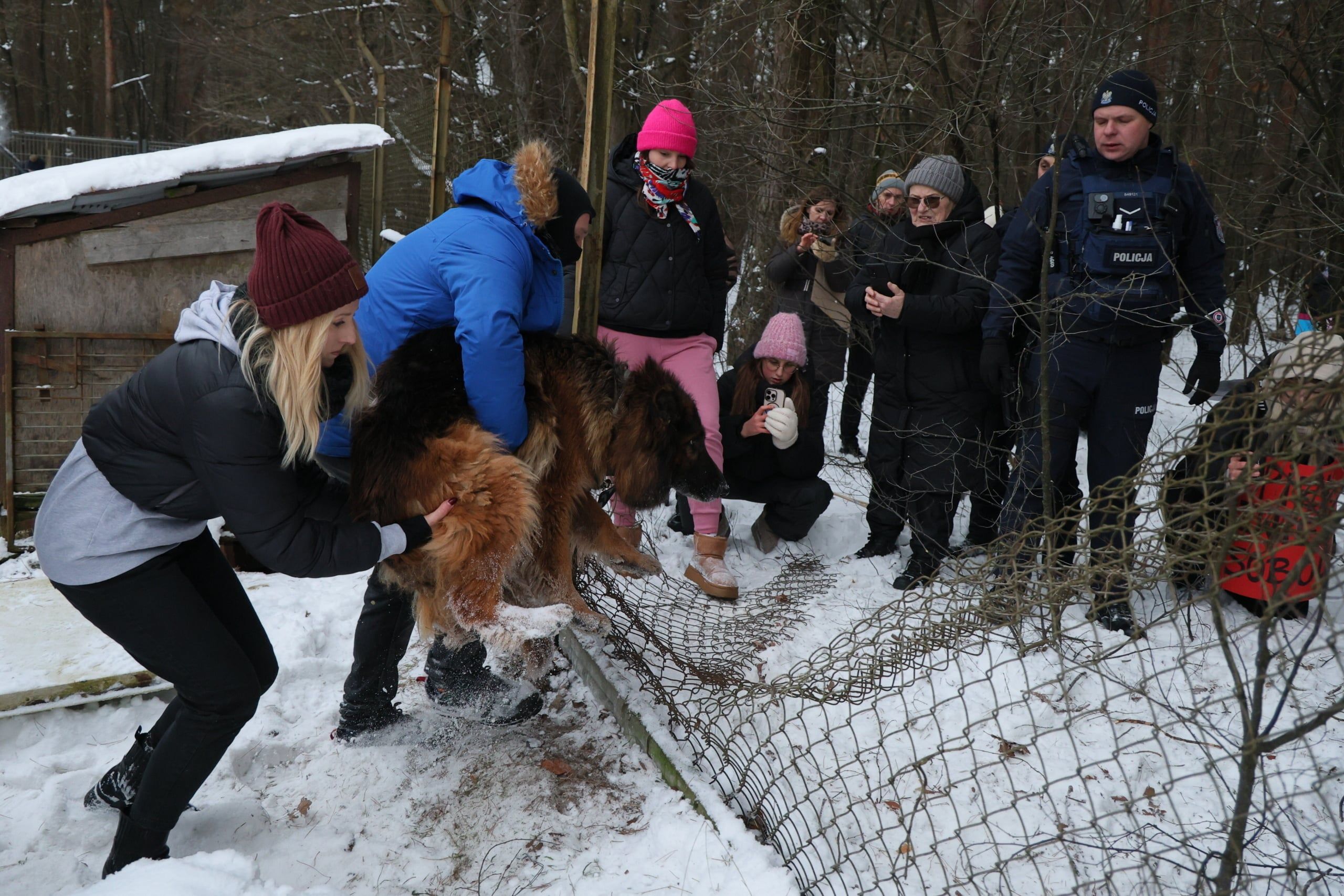 Akcja zabierania psów ze schroniska w Sobolewie.