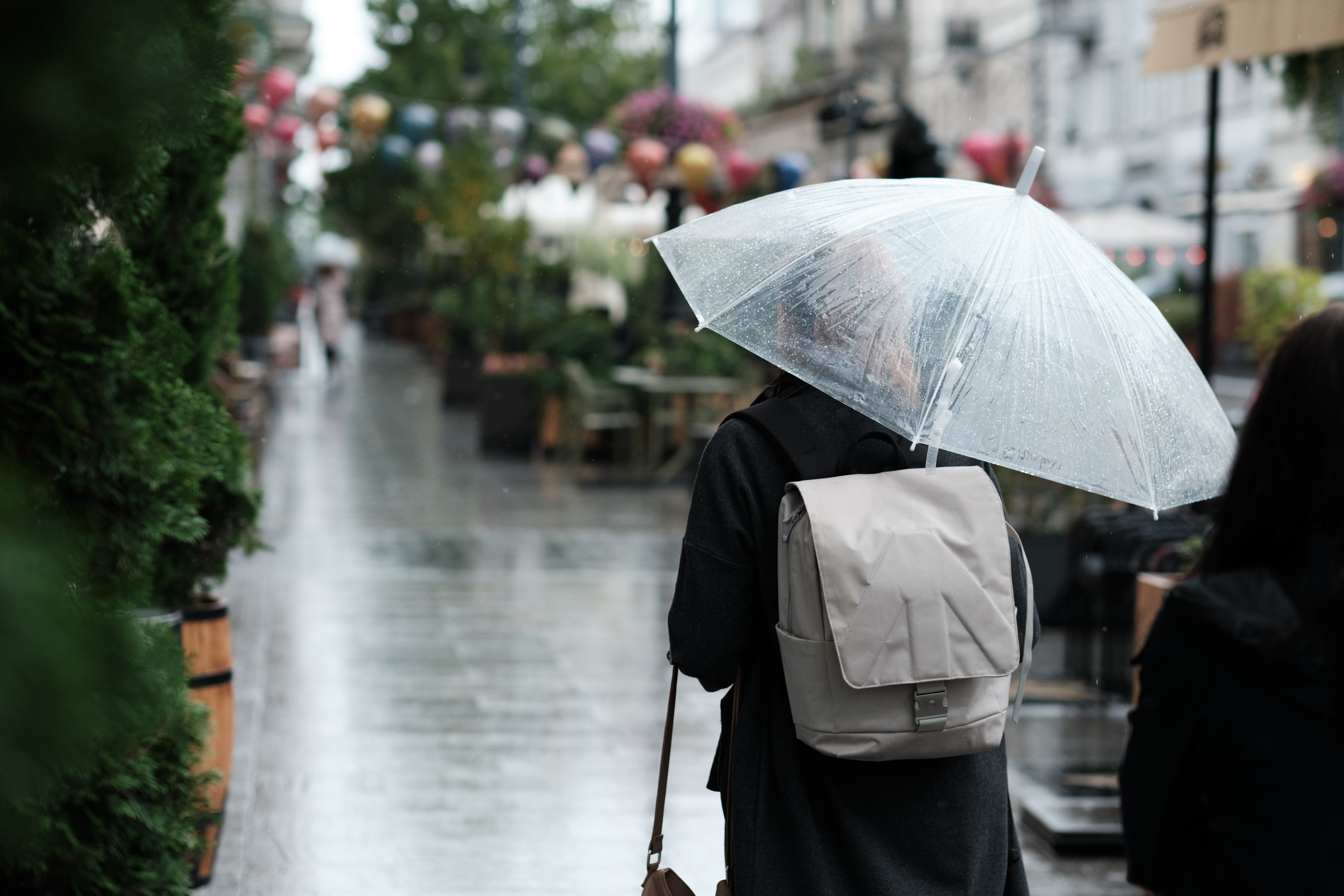 Person,With,Transparent,Umbrella,On,Rainy,Piotrkowska,Street,In,Lodz,