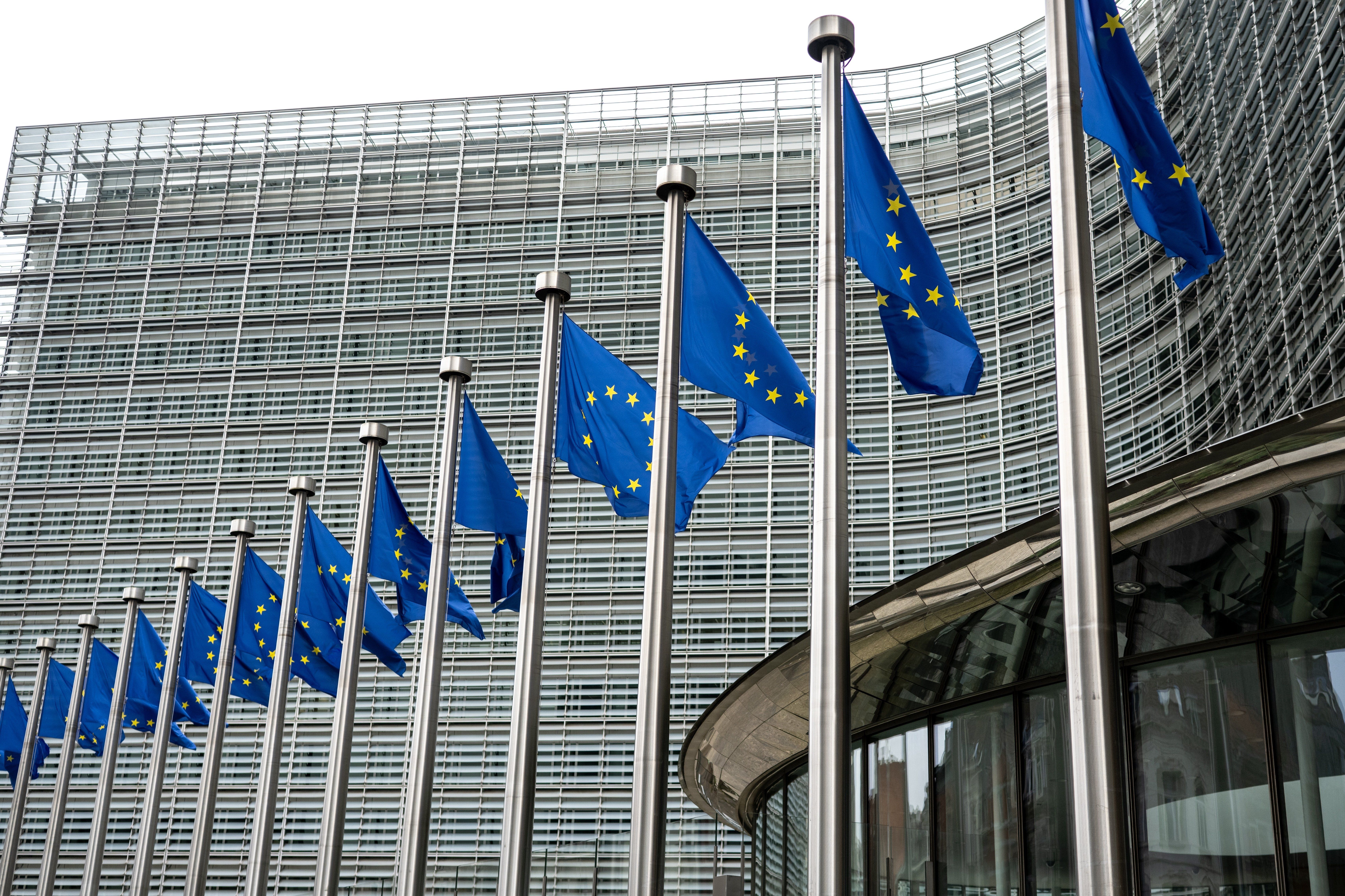 Flagi Unii Europejskiej.