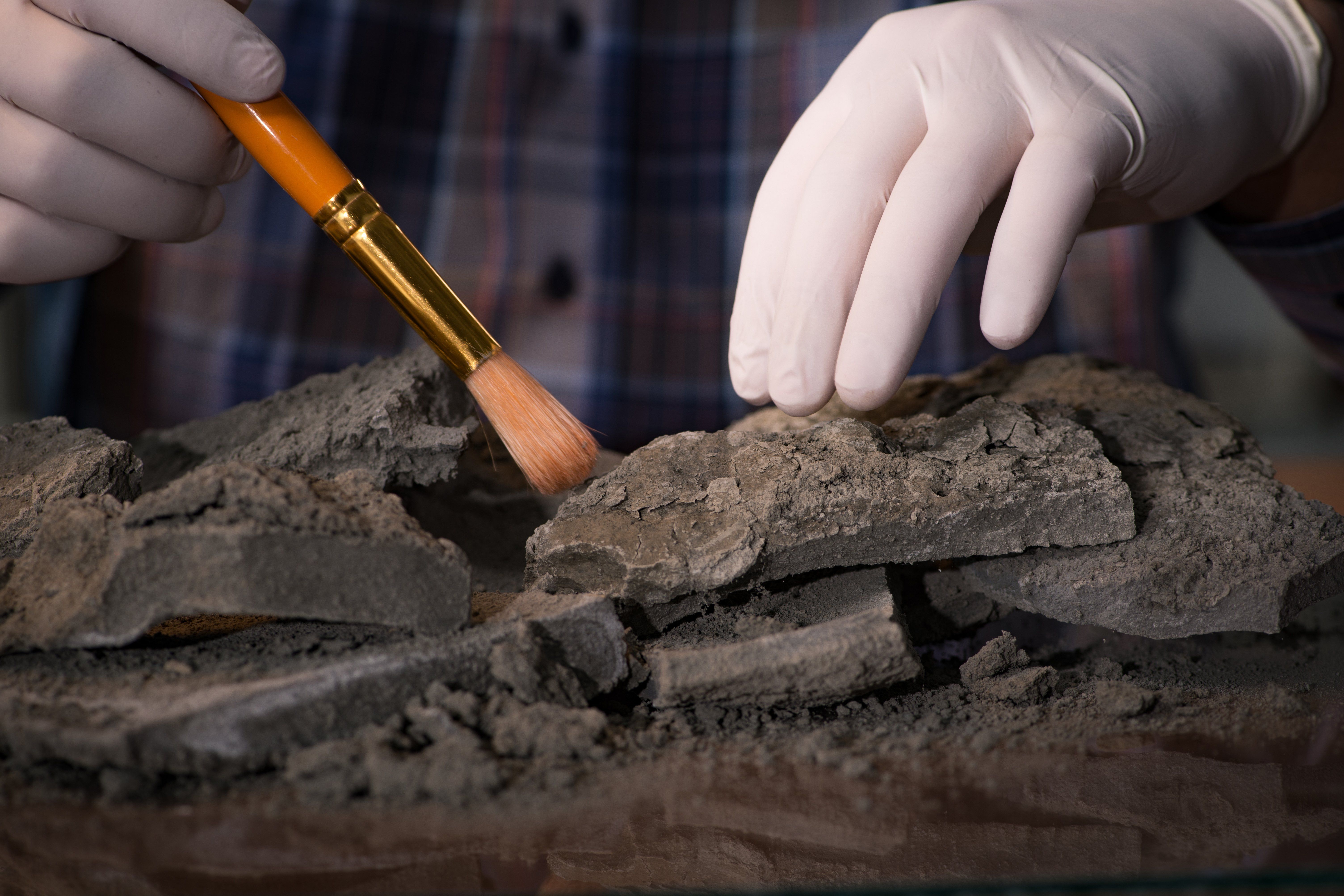Archeologist,Working,Late,Night,In,Office