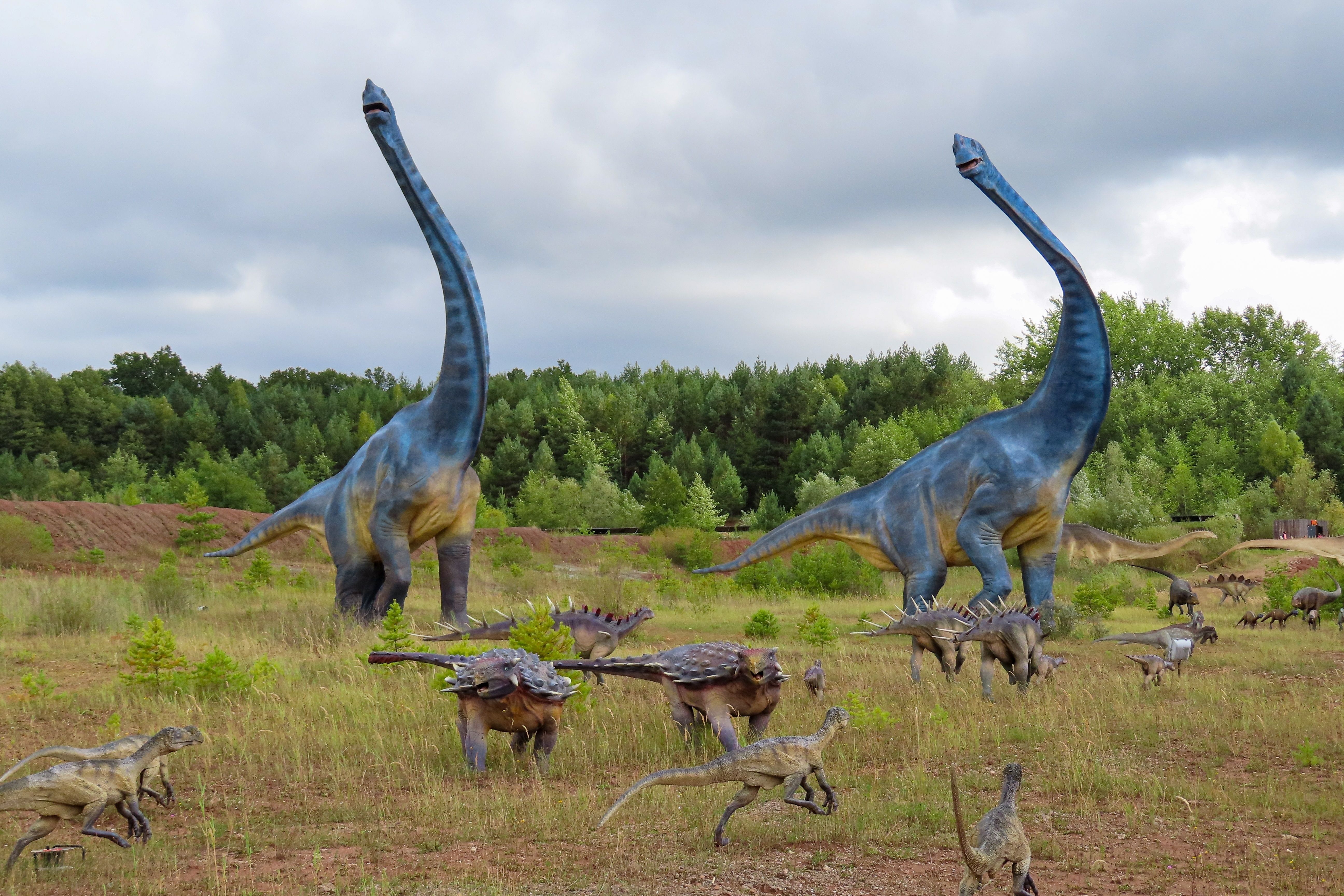 Dinozaury zauropody