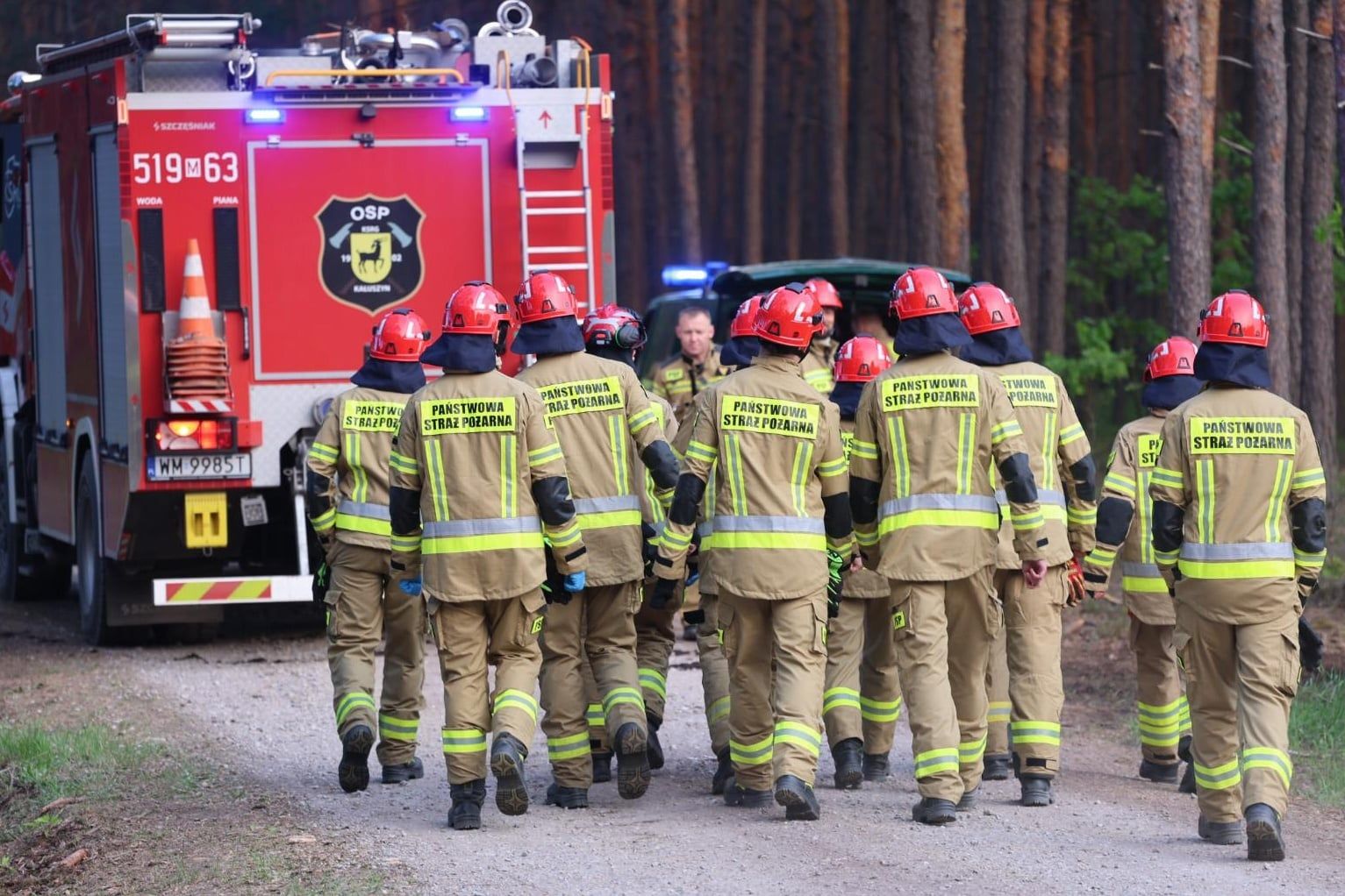 Pożar lasu w Międzylesiu w powiecie wołomińskim. Niekorzystne prognozy pogody na piątek.