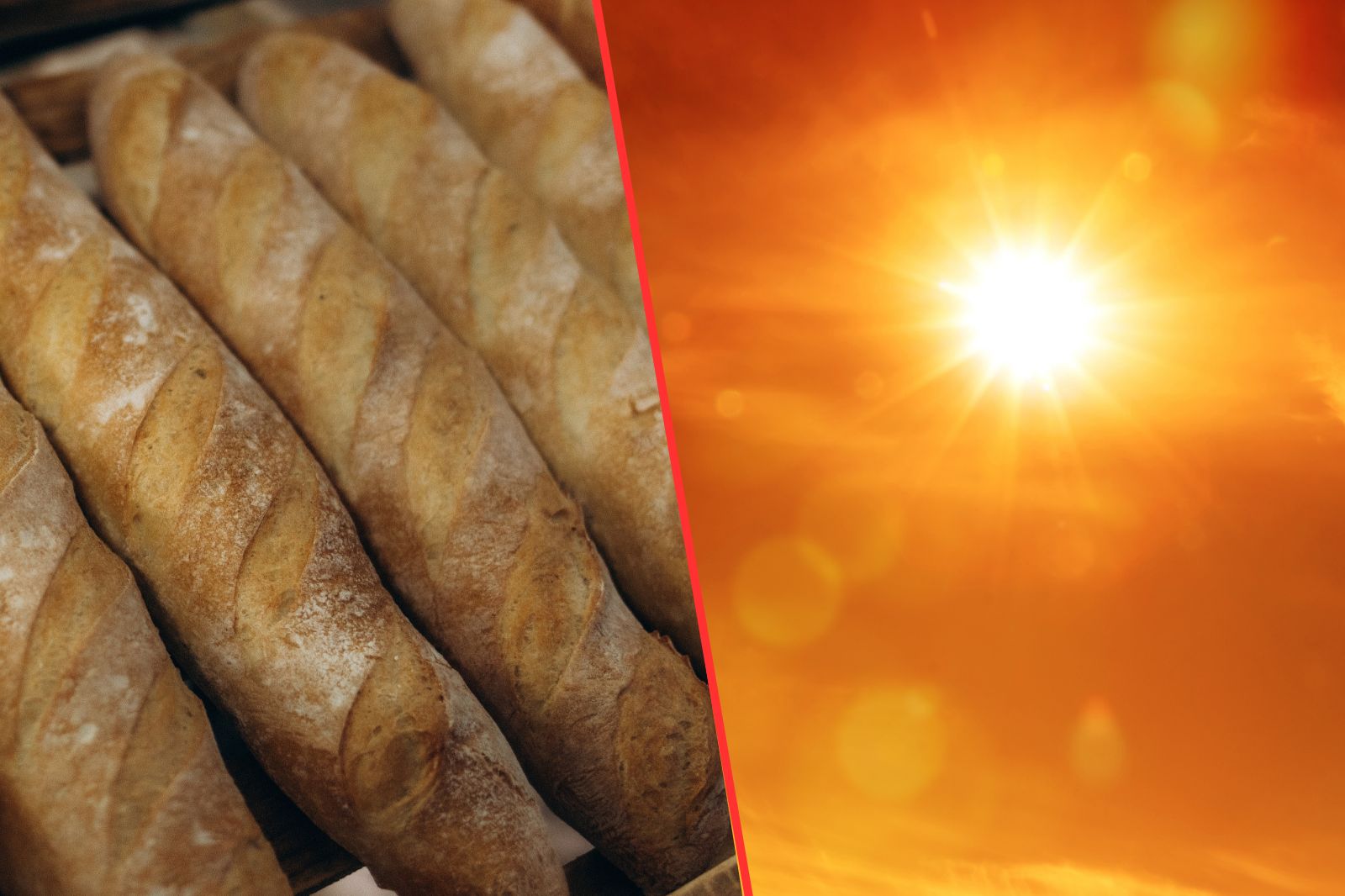 Bagietki i palącej słońce.