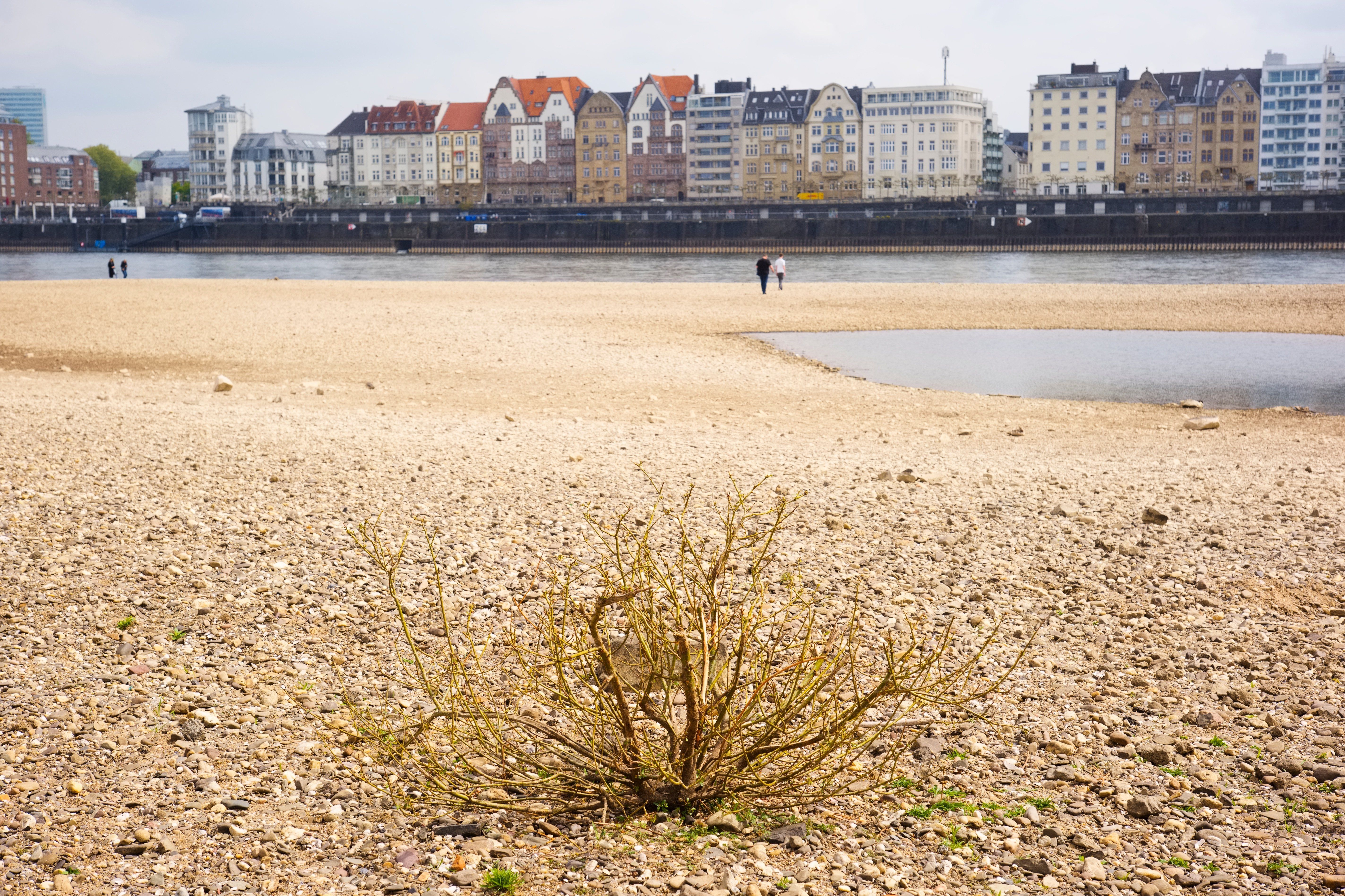Duesseldorf,Germany,04,22,2025,Low,Stream,Gauge,Of,River