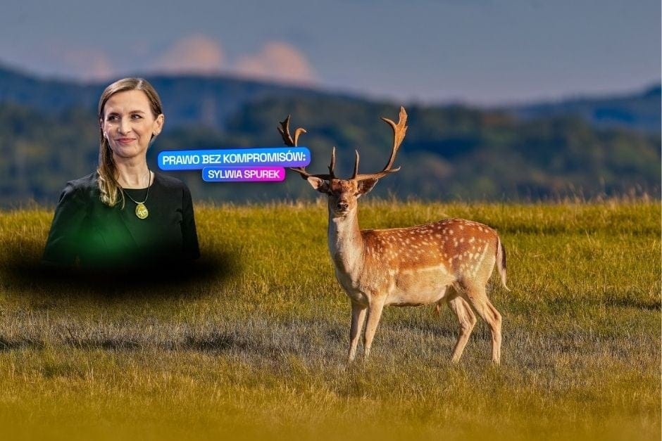 Uwaga, polowanie. Czego boją się myśliwi?