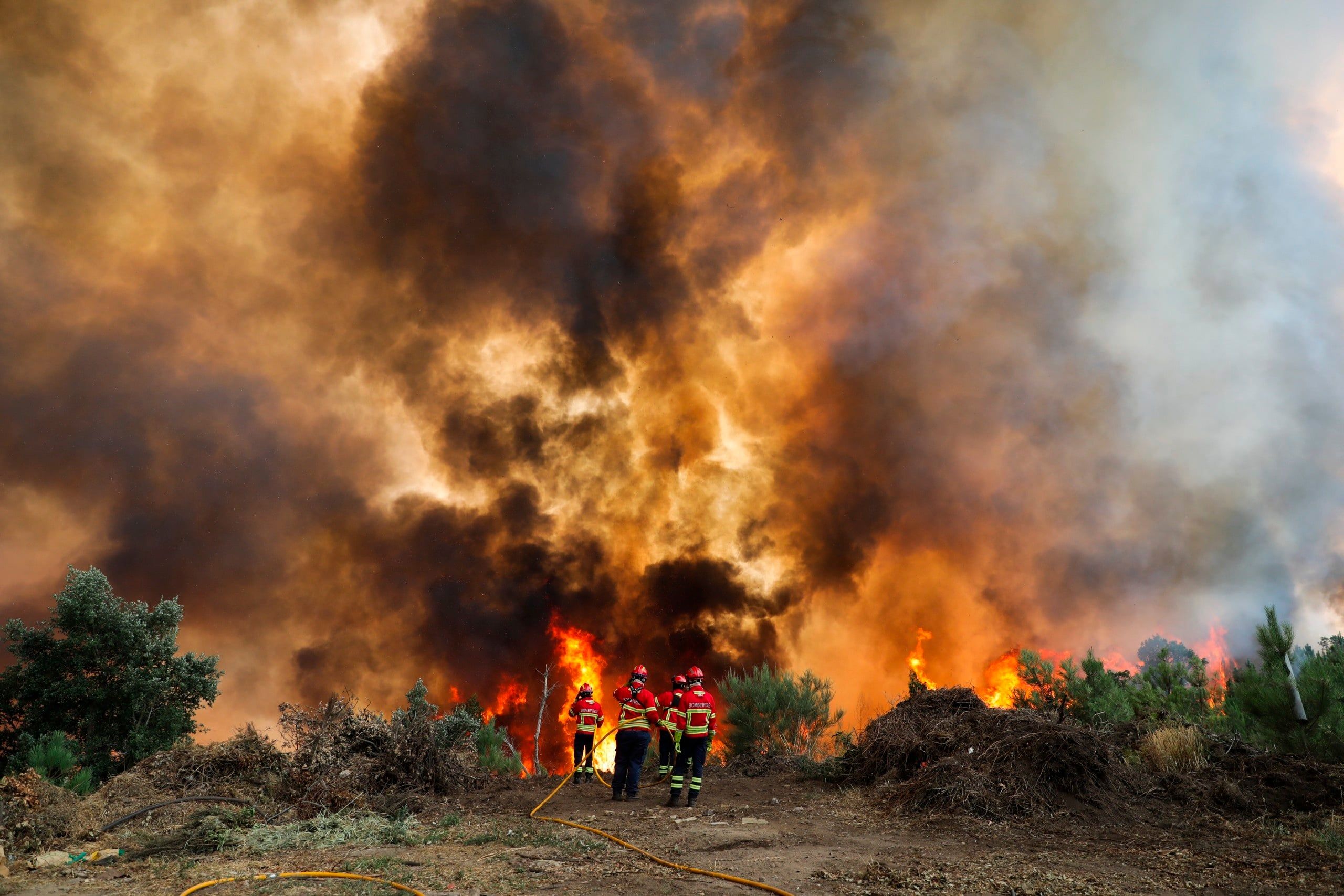 Forest fire in Cercosa, Portugal