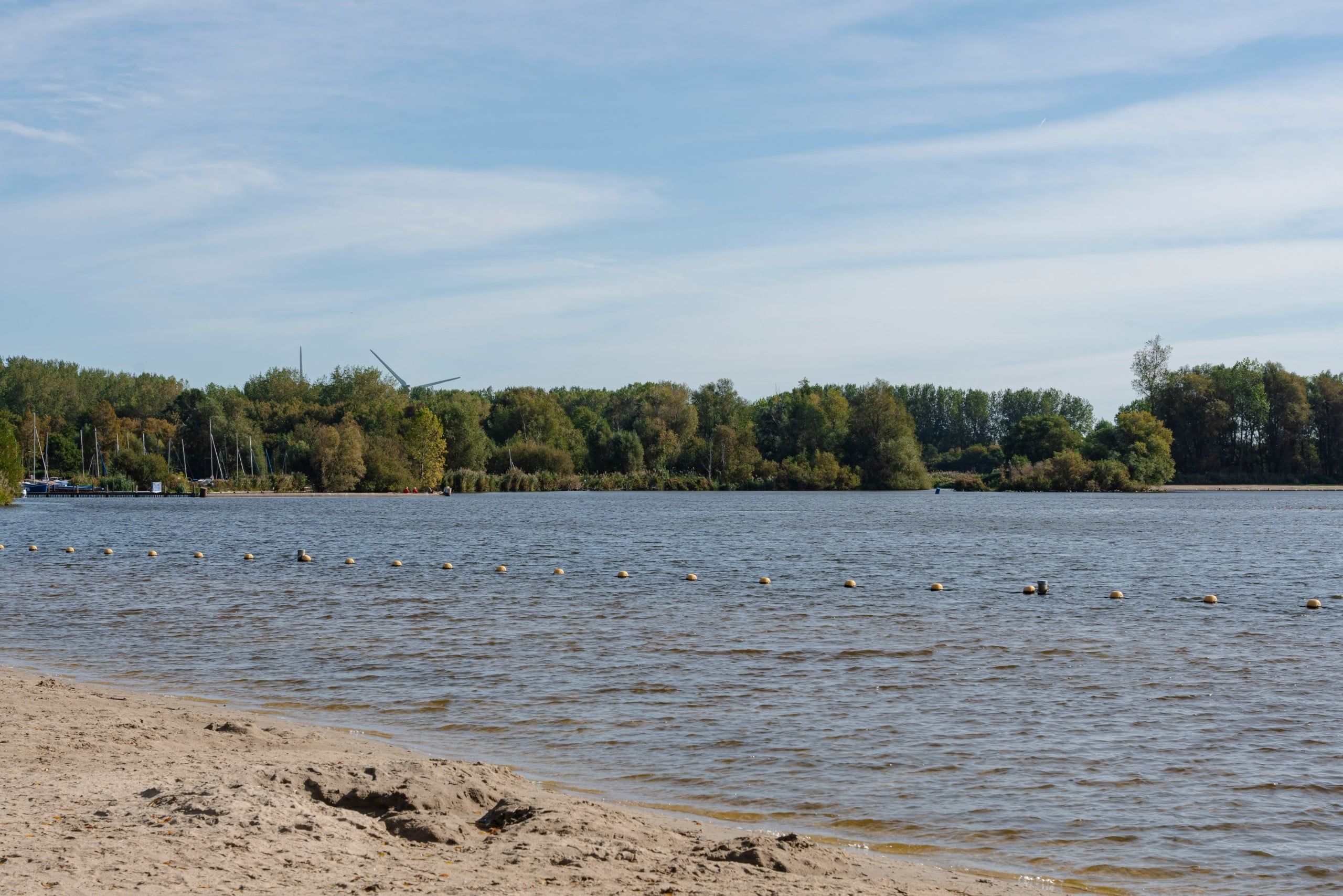Jezioro i las
