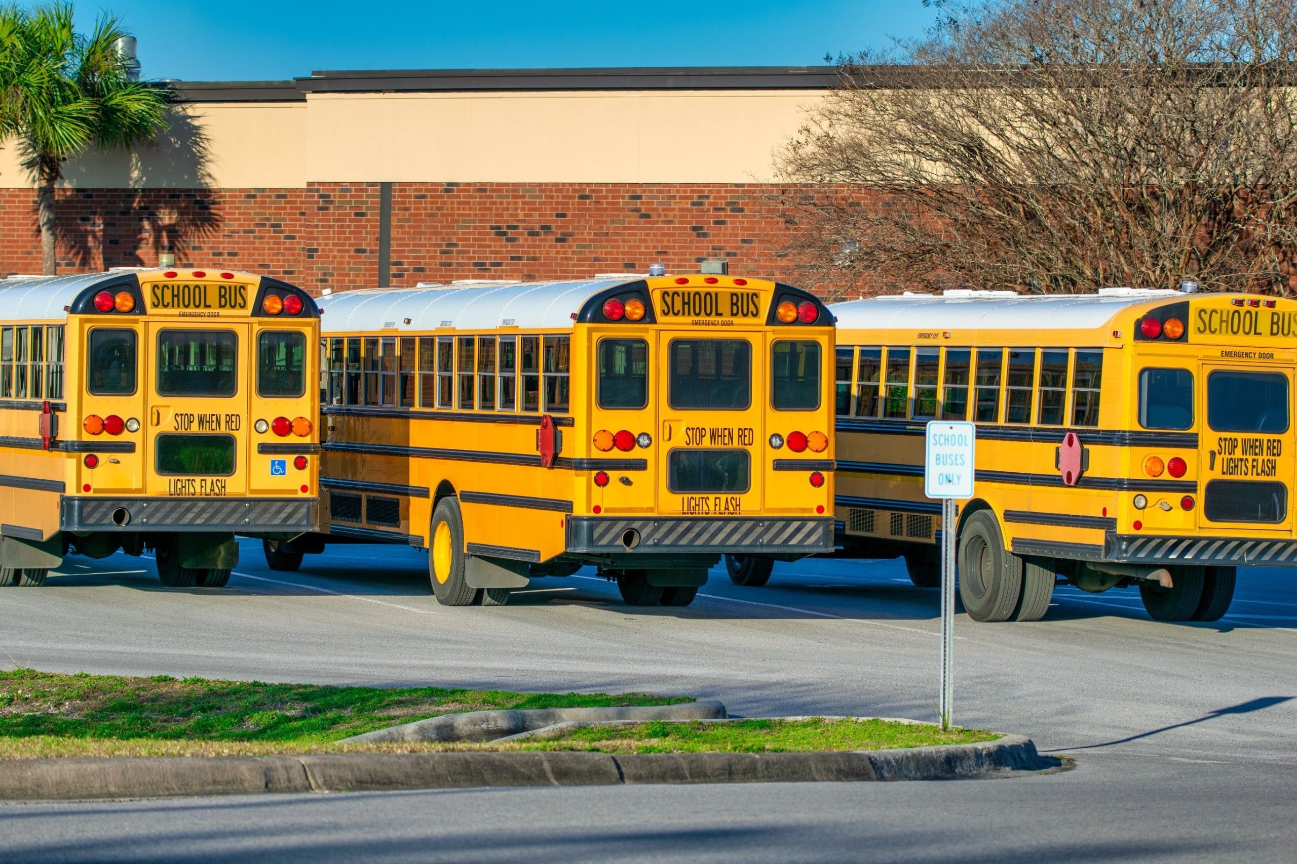 Row,Of,School,Buses,In,Florida.