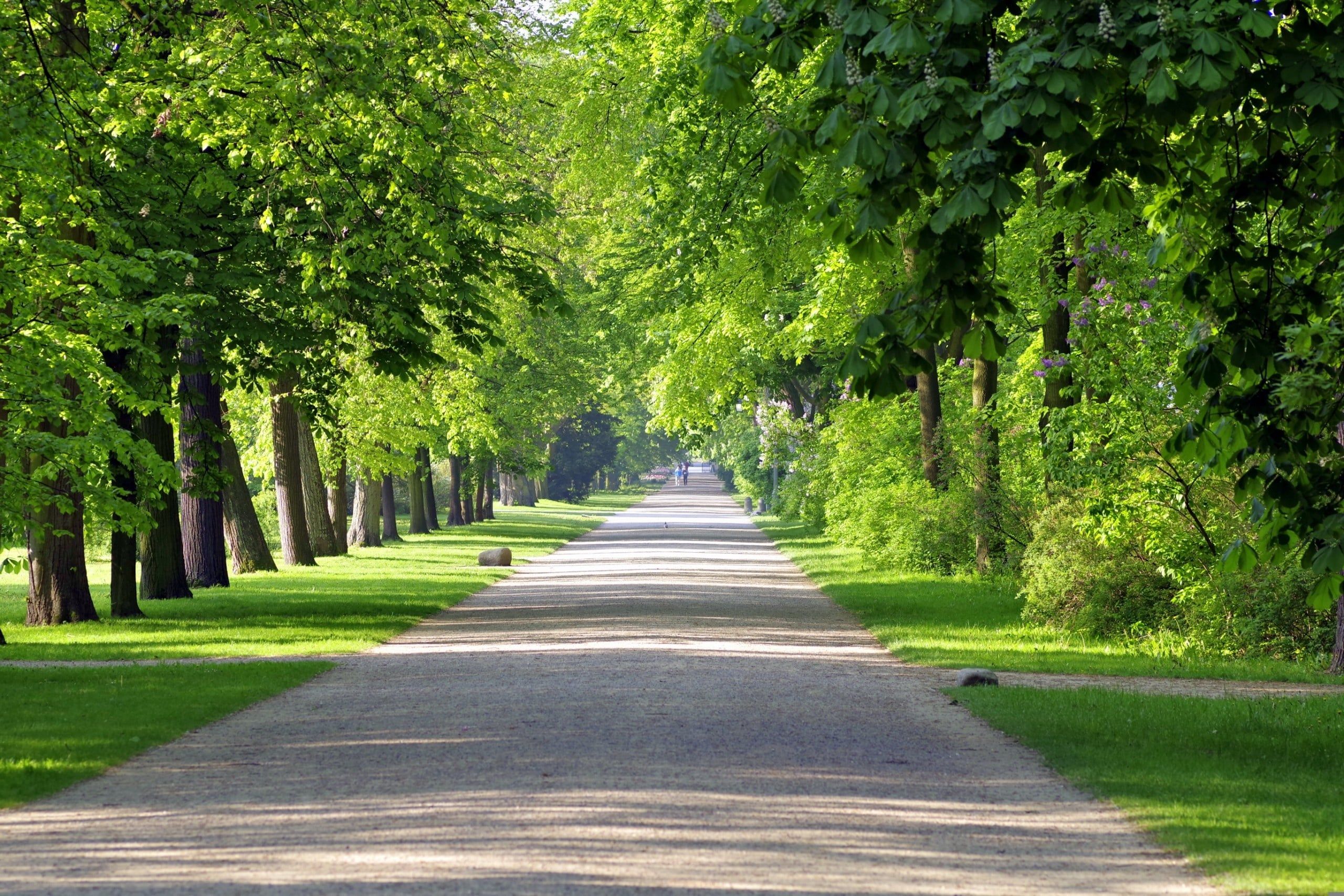 arcaion-alley-2373932