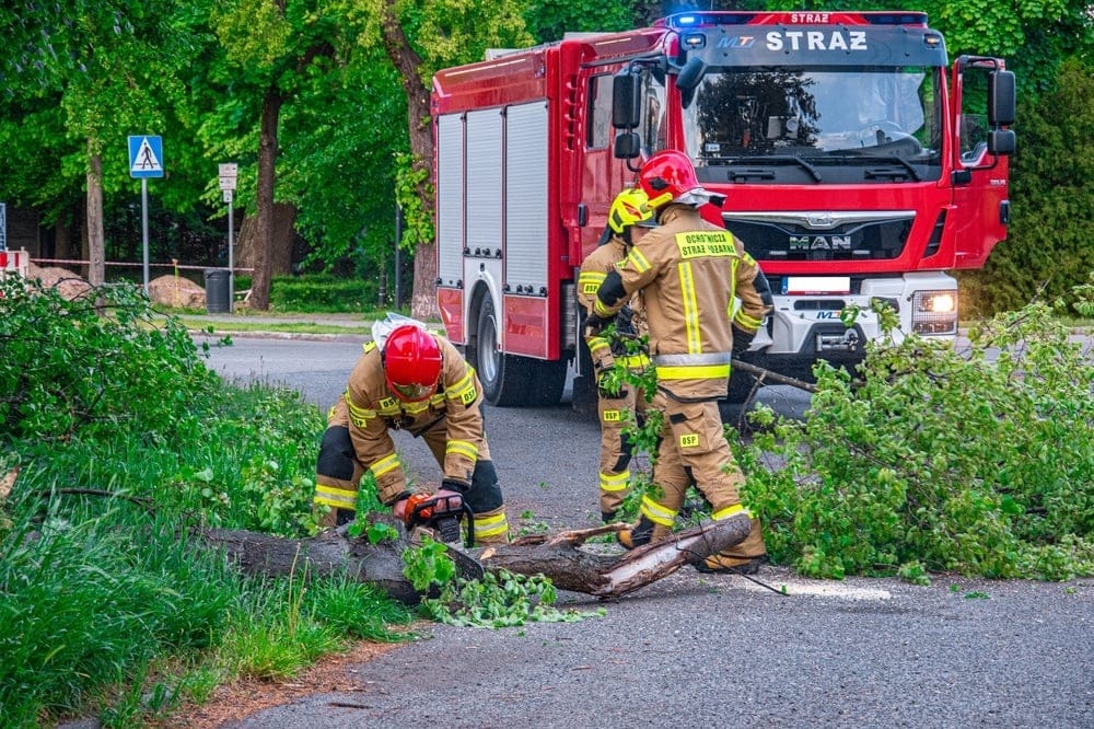 06.05.2025,Poland,Storm,,Fallen,Trees,-,Firefighters',Interventions