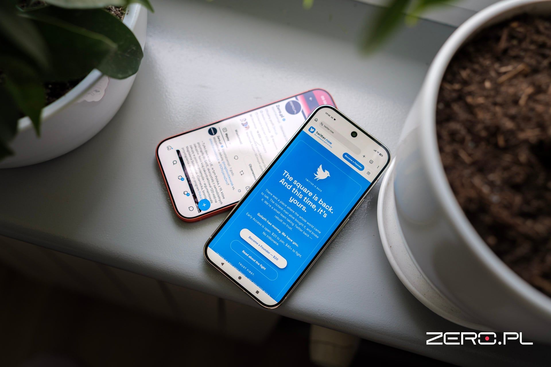 twitter-x-bluebird-1