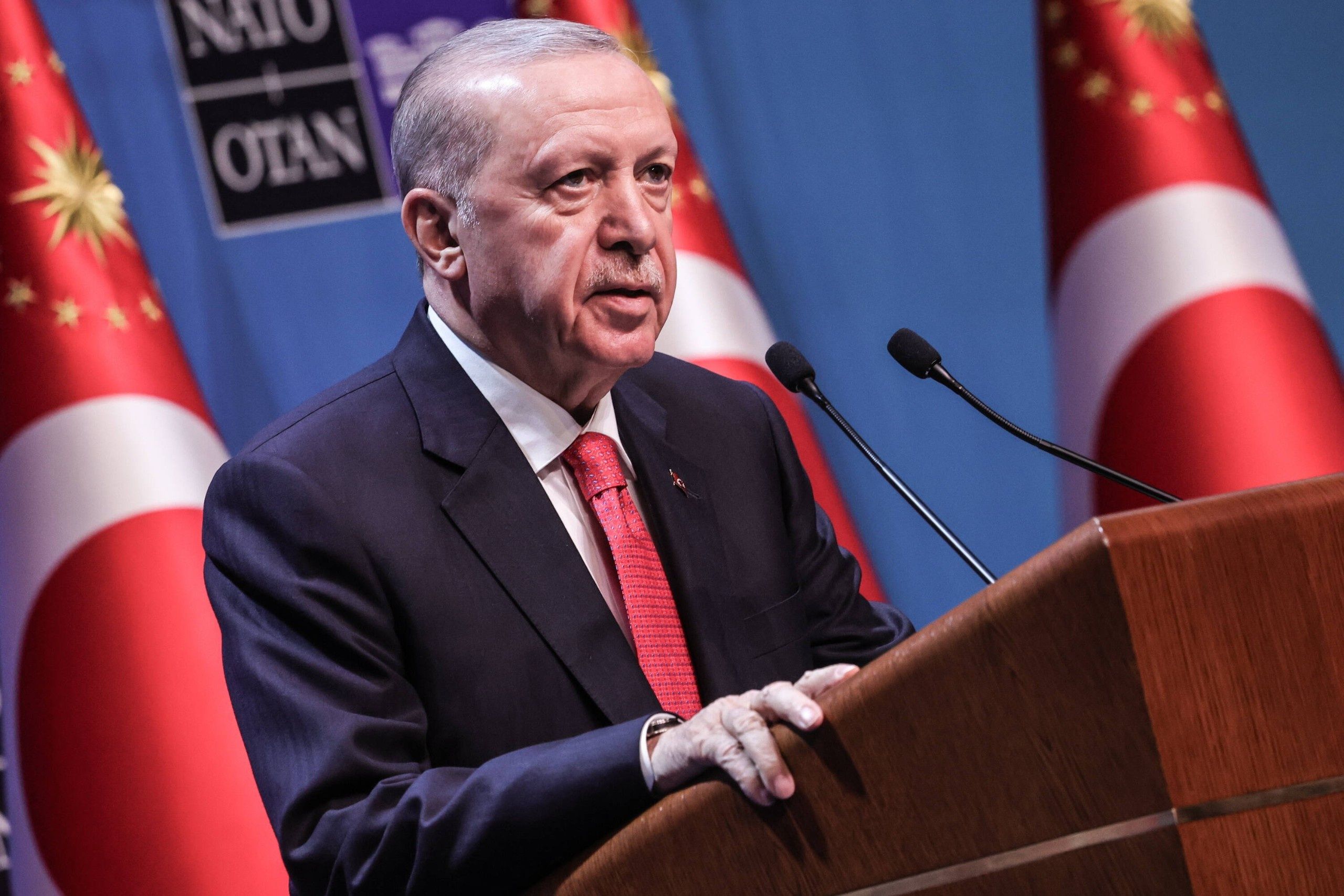 World leaders meet in Ankara for the NATO Summit