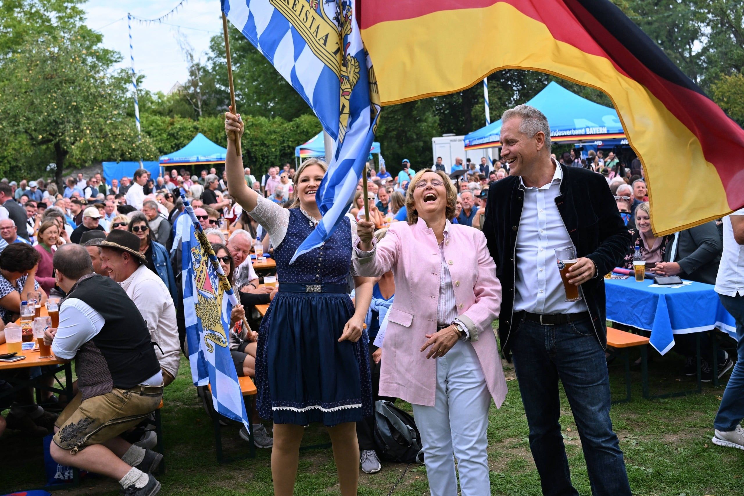 Political Frenzy - AfD