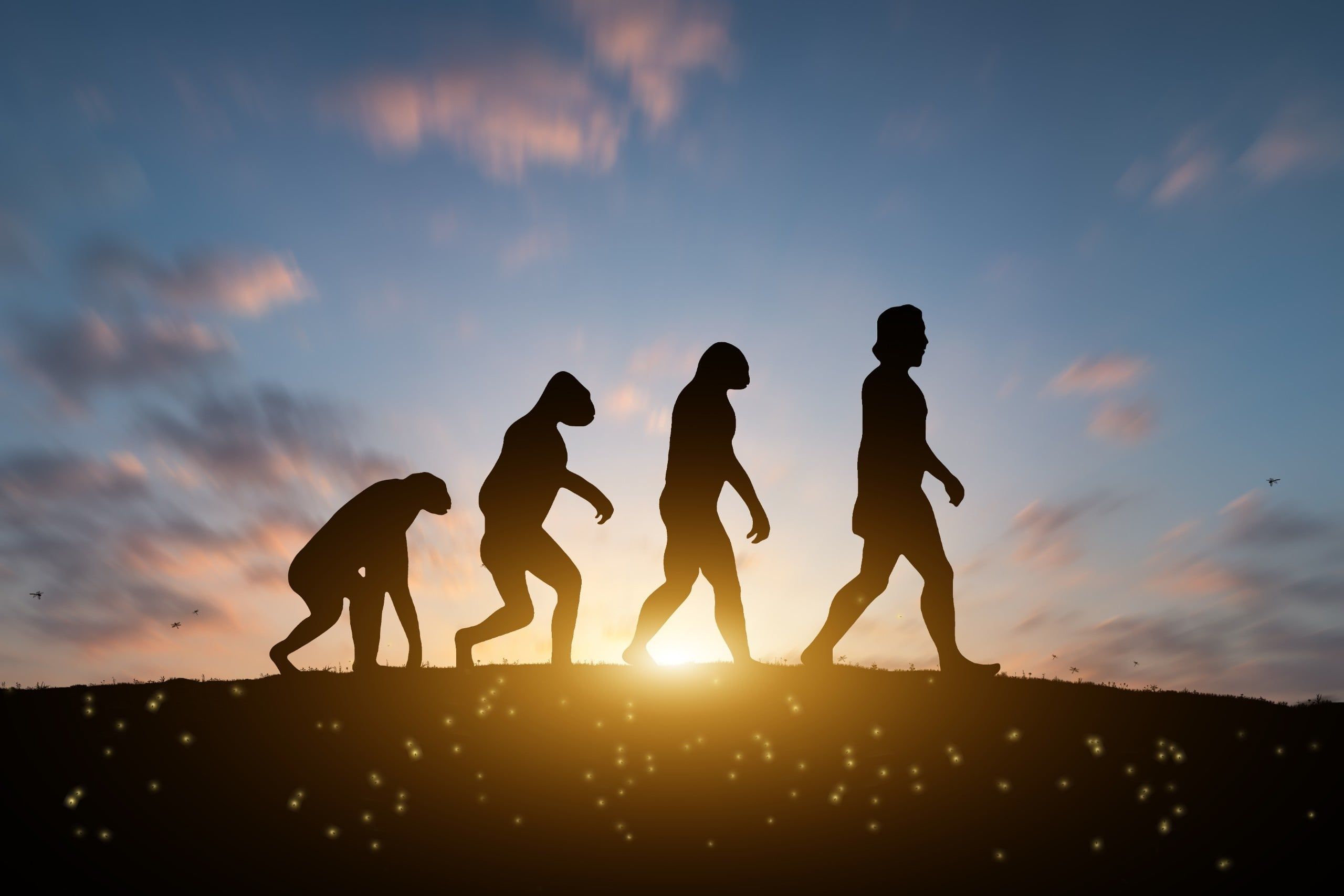 Under,The,Sunset,Humans,Continue,To,Evolve