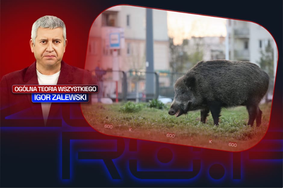 Łosoś na trawniku, dzik za rogiem. Cała prawda o Warszawie