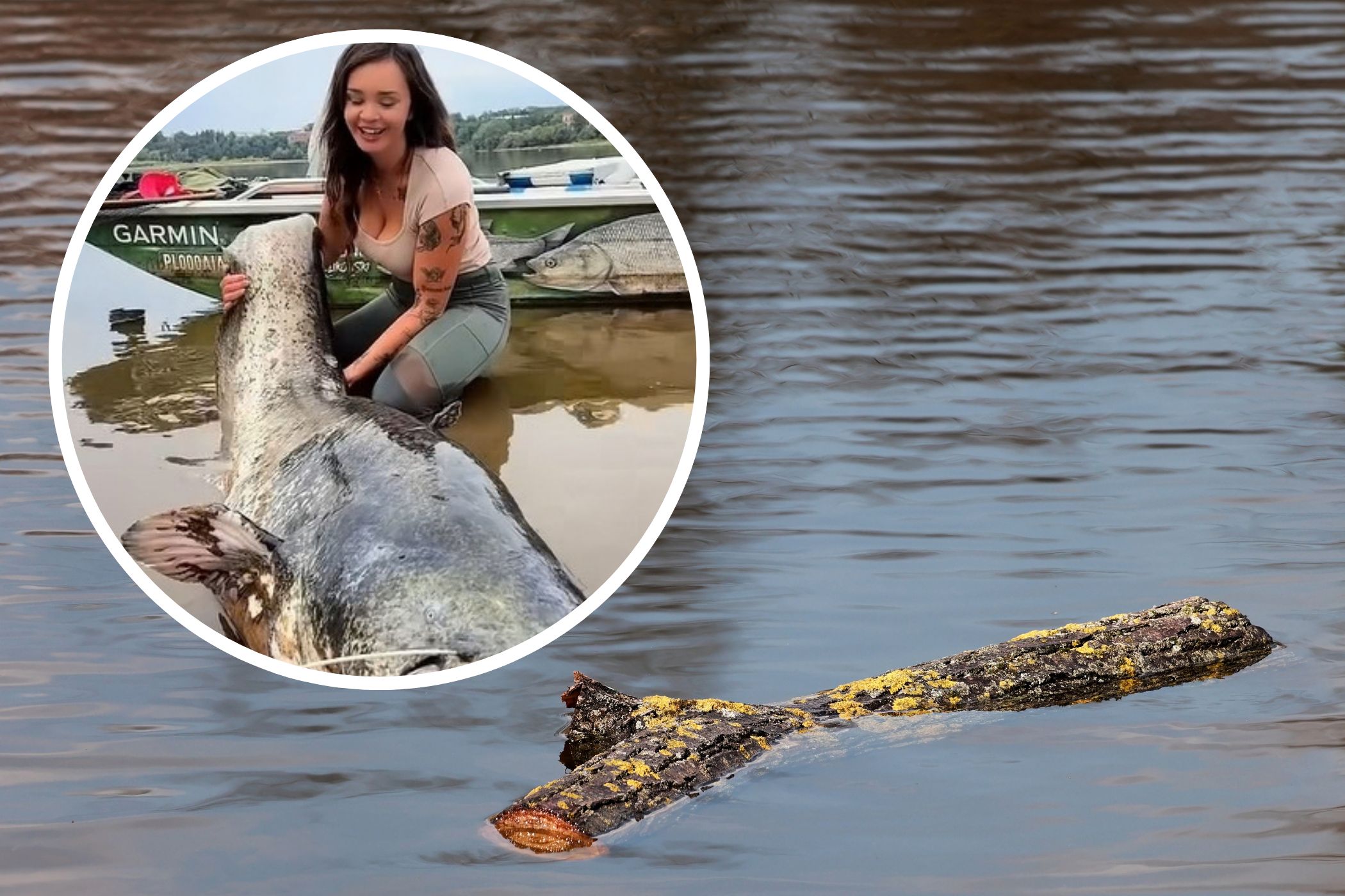 Gigantyczny sum złowiony w Wiśle przez Beatę Wojewodę i Dawida Kaszlikowskiego. Ryba mierzyła 234 cm i była życiowym rekordem Wojewody