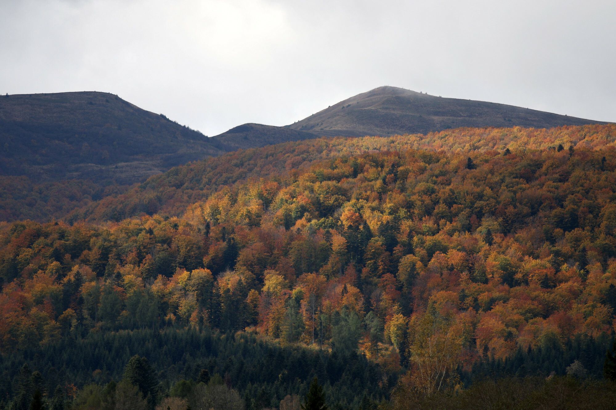 Bieszczady jesieni?