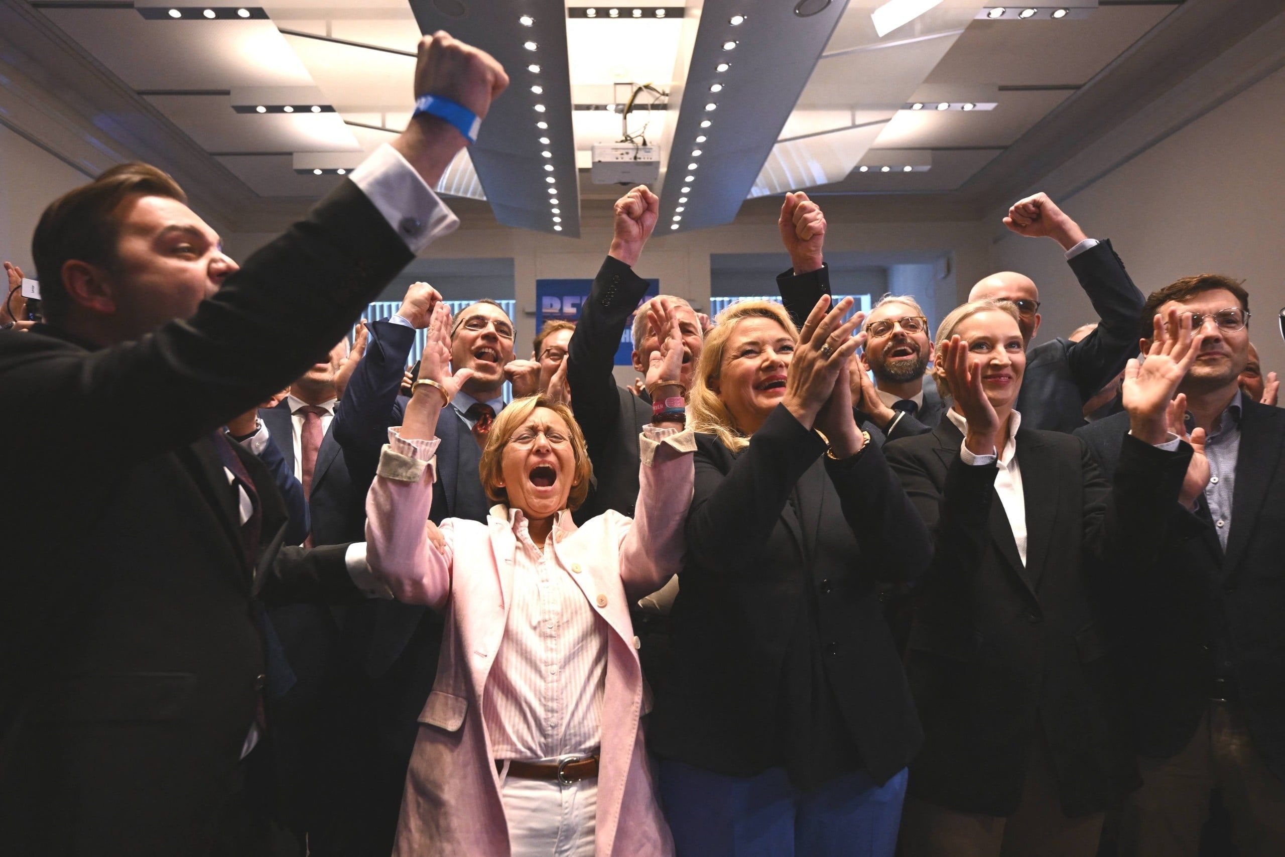 Berlin House of Representatives Election - AfD
