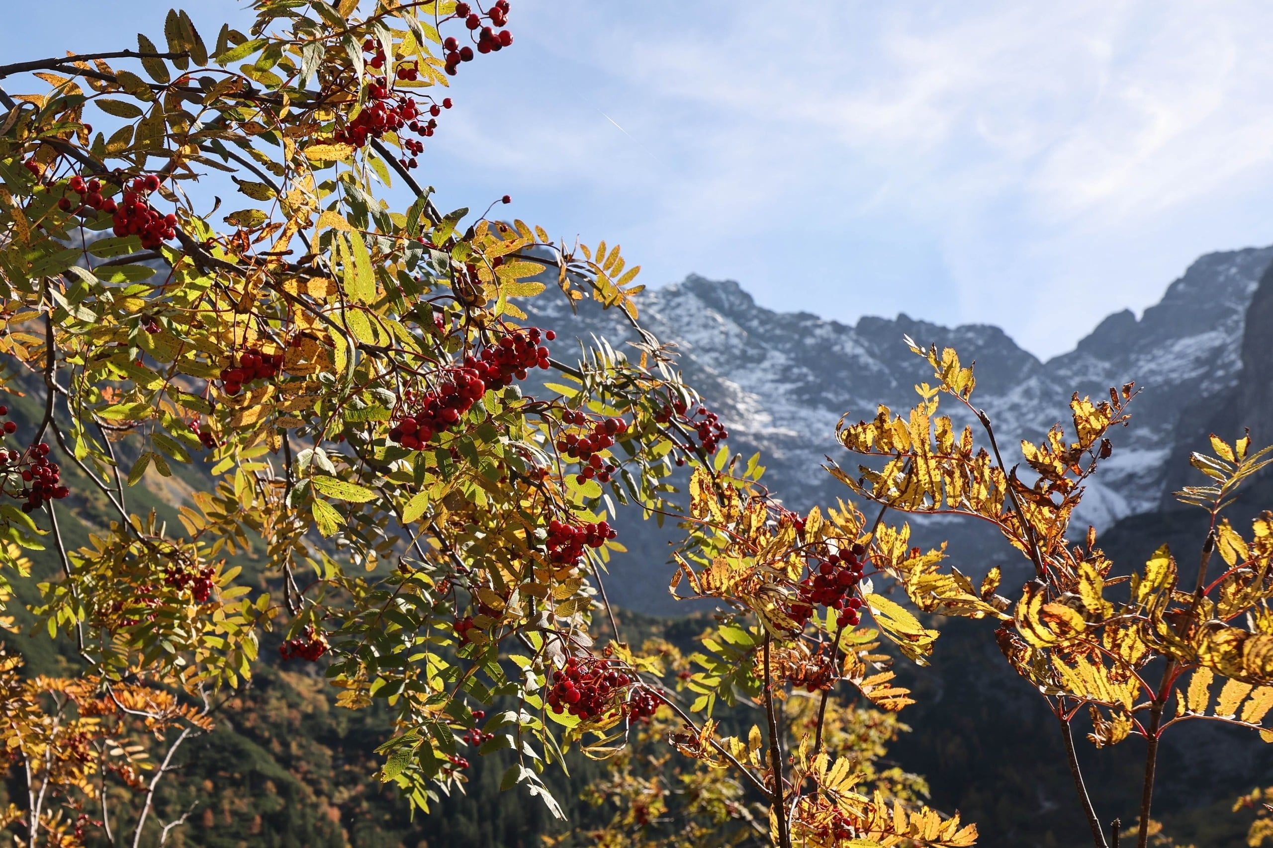 Tatry