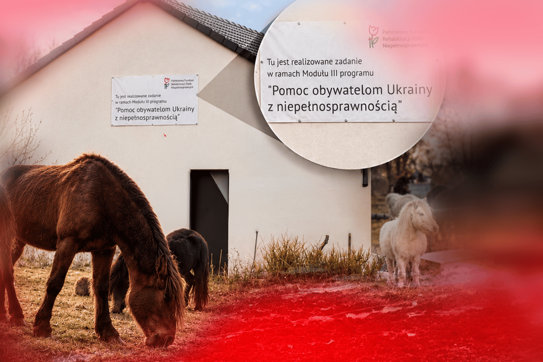 PFRON zażądał od Fundacji Dla Mirka zwrotu dotacji w wysokości 651 000 zł. Wykryto nieprawidłowości.