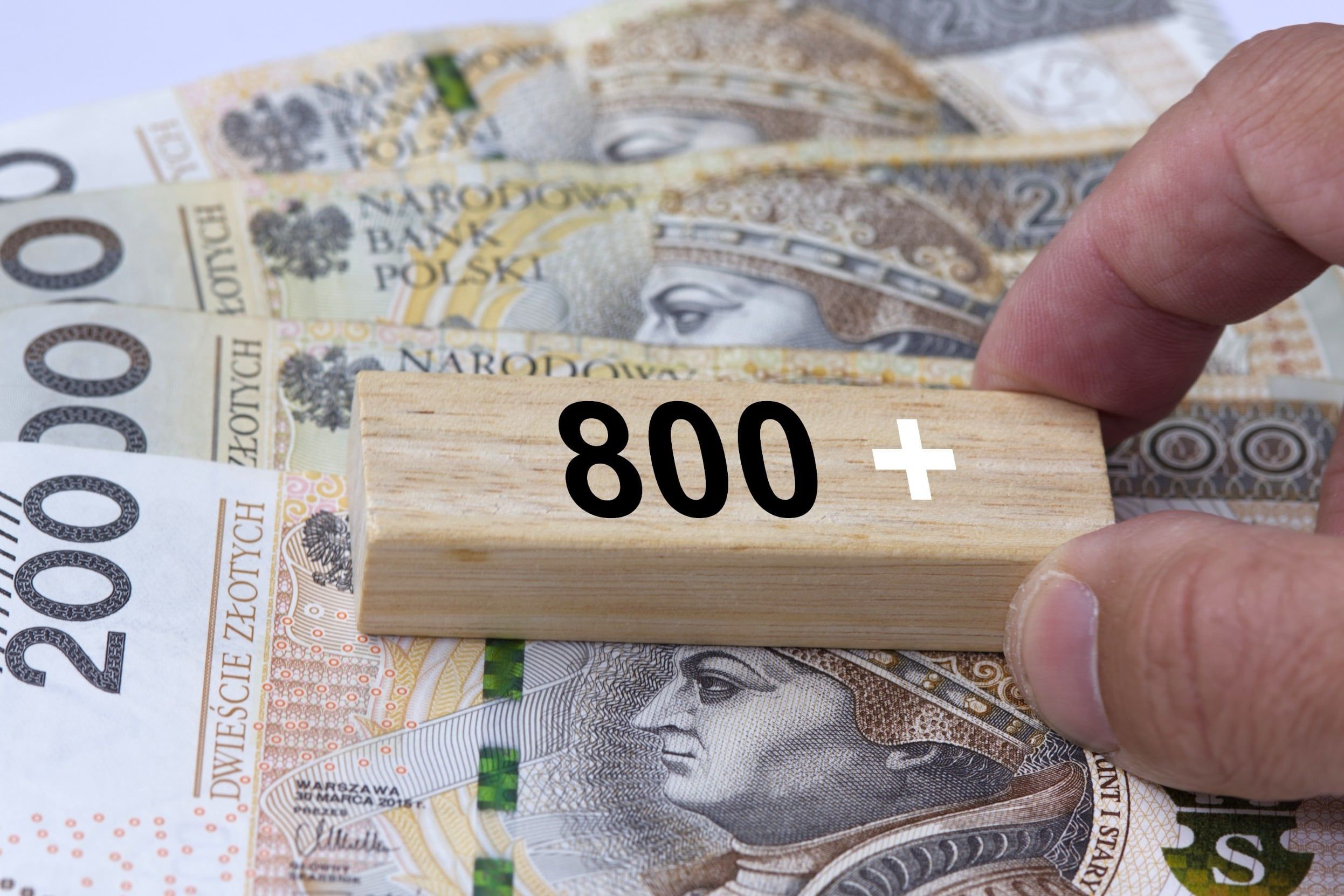 Hand,Holding,Wooden,Block,With,Inscription,800,Plus.,800,Plus