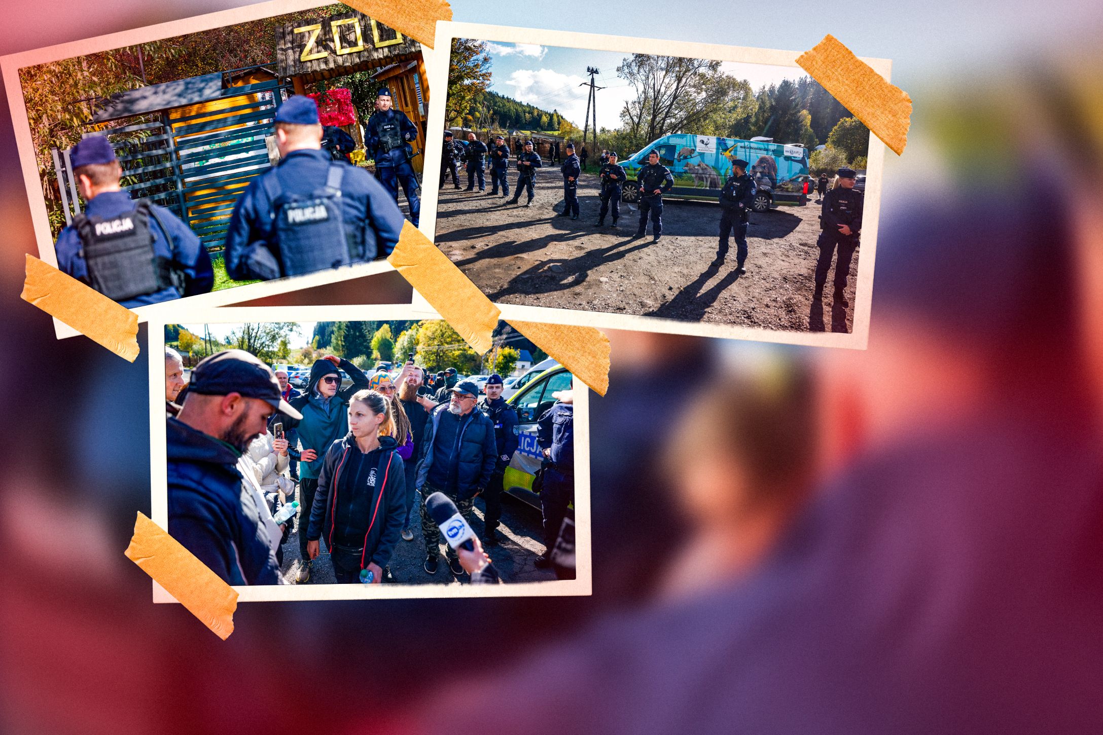 Wojna o Zoo Łączna
