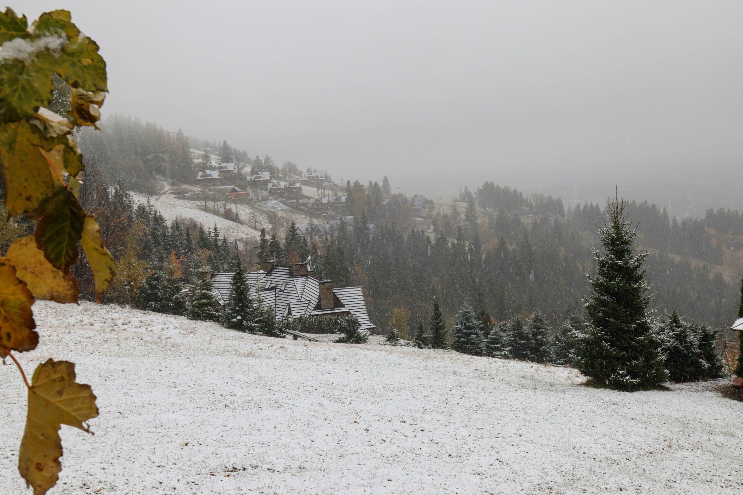 śnieg
