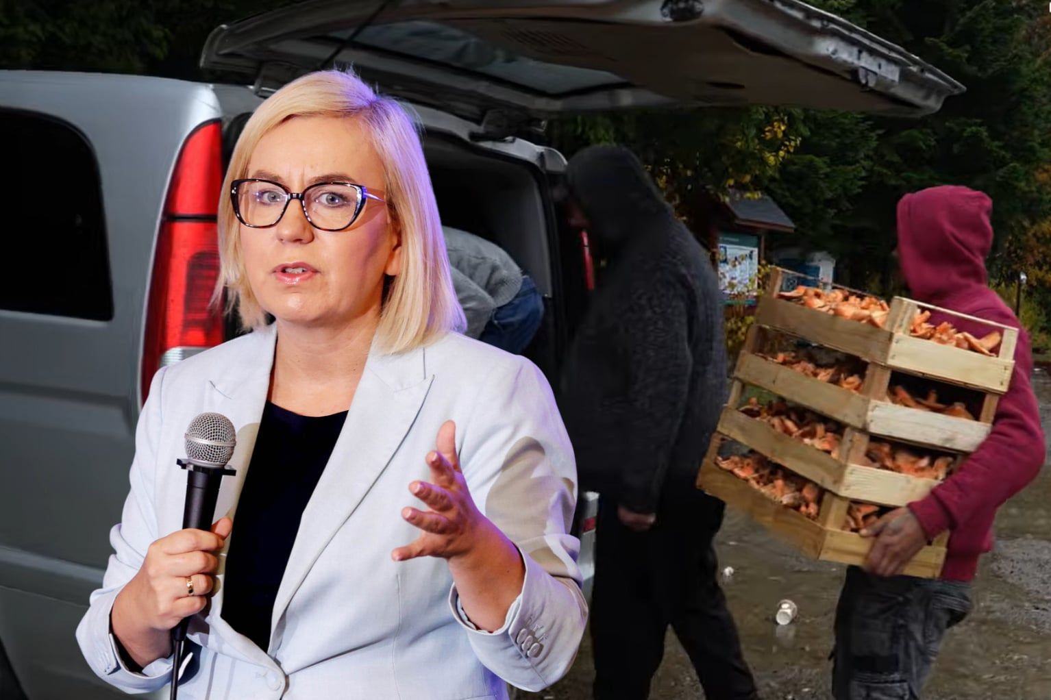 Cudzoziemcy w polskich lasach. Hennig-Kloska komentuje