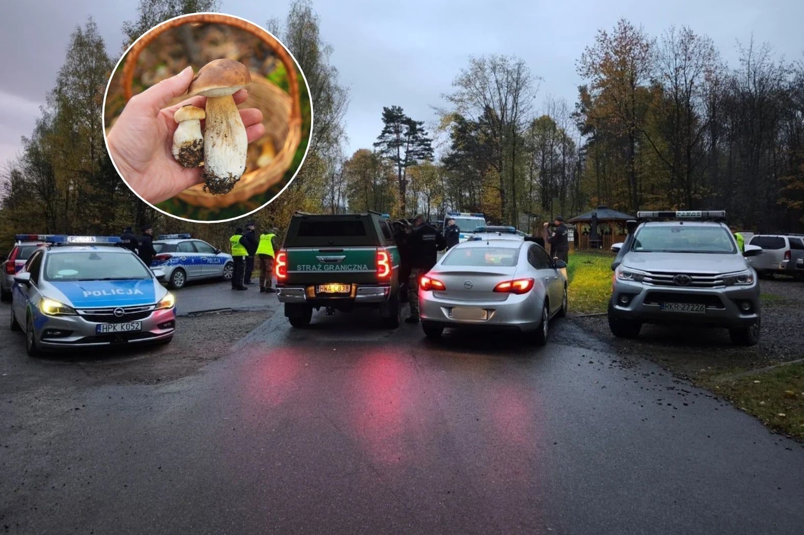 Akcja służb w podkarpackich lasach