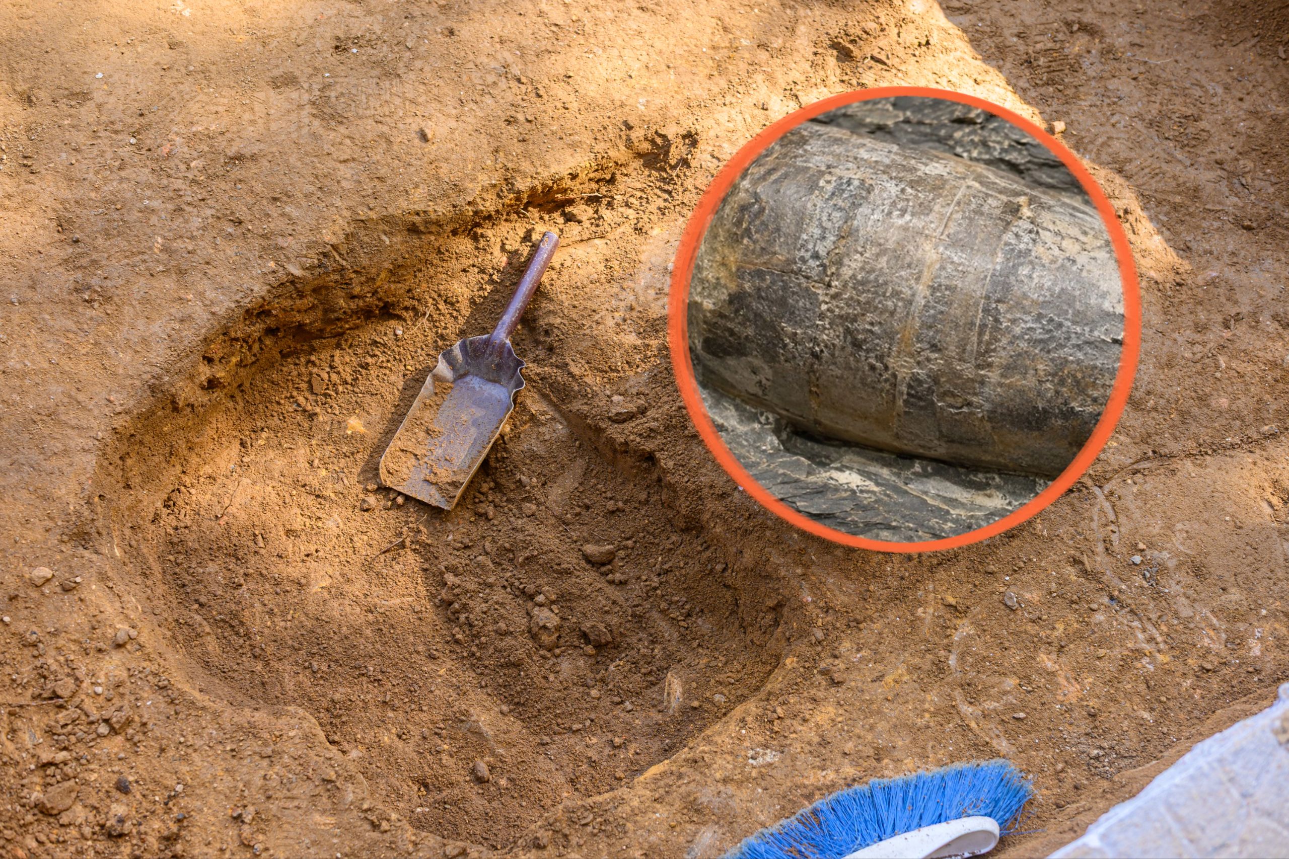 Skamieniałości Wyoteuthis linsterorum, nowego gatunku belemnita sprzed około 160 mln lat, odkrytego w amerykańskim stanie Wyoming. Naukowców zaskoczył wyjątkowo szeroki kształt jego wewnętrznego szkieletu