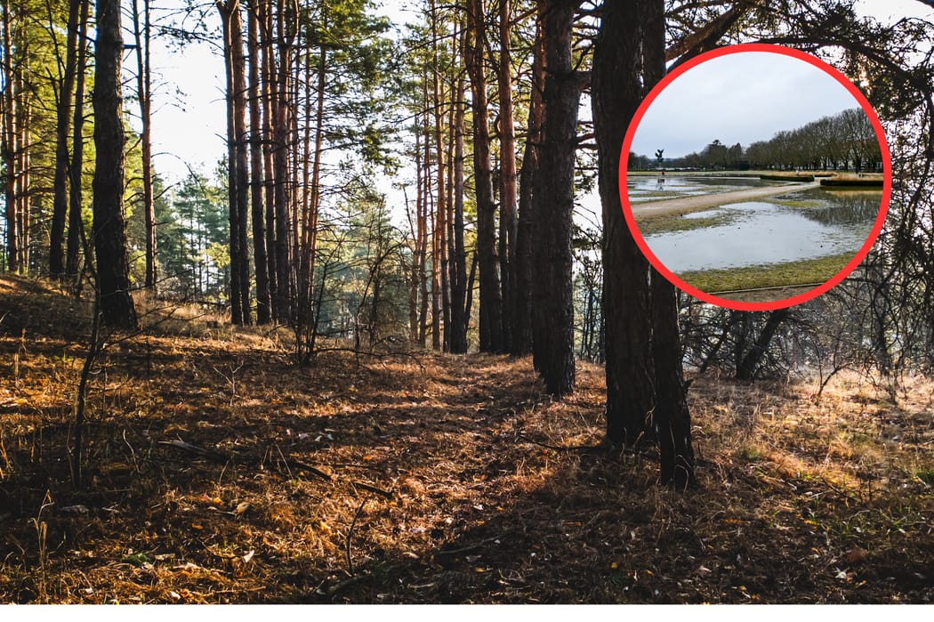 Prognoza pogody na wiosnę 2026 r. Wielka zmiana już w końcu tygodnia