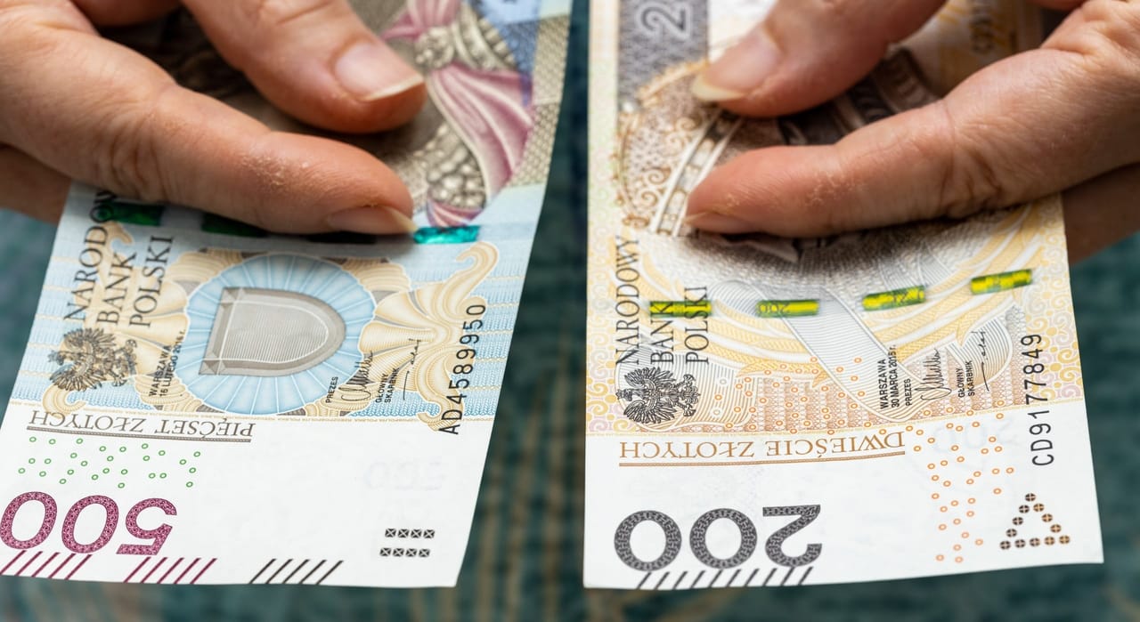 Rząd apeluje, by Polacy mieli na wszelki wypadek gotówkę. Tylko czy będą mogli nią zapłacić w sklepach?