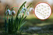 Wiadomo, do kiedy będzie ciepło. W nowych prognozach widać zmianę pogody