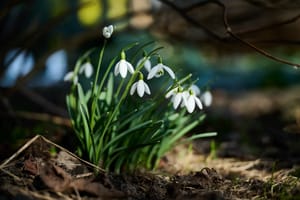 Coraz bliżej wiosny. Mamy najnowszą prognozę pogody