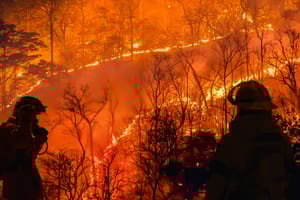 To może być najsilniejsze El Niño w historii. Na upałach się nie skończy