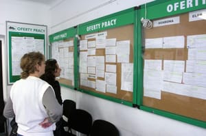 Nowe dane o bezrobociu w Polsce. Są powiaty, gdzie bez pracy jest co piąty mieszkaniec