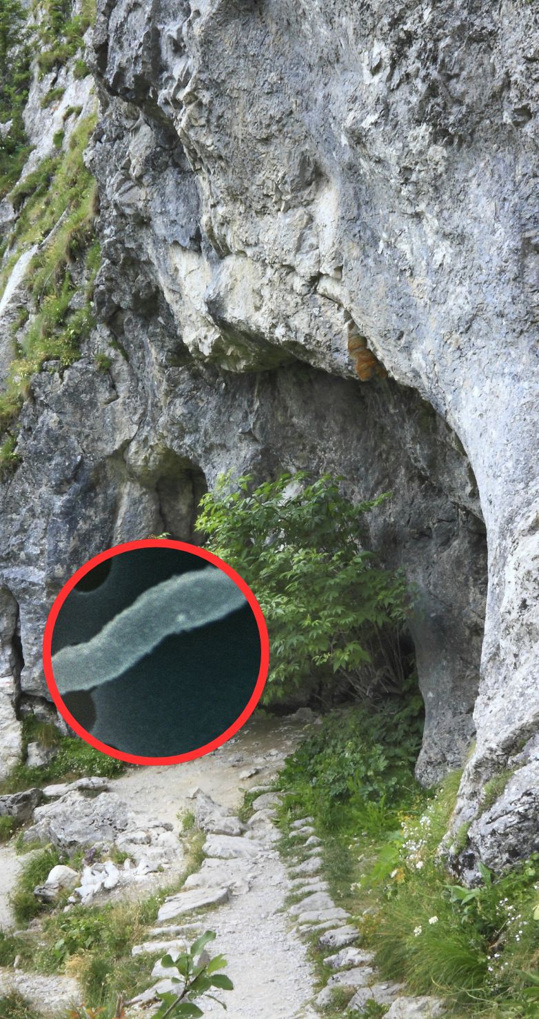 Bakteria sprzed 5 tys. lat znaleziona w lodzie. Może pomóc w walce z superbakteriami