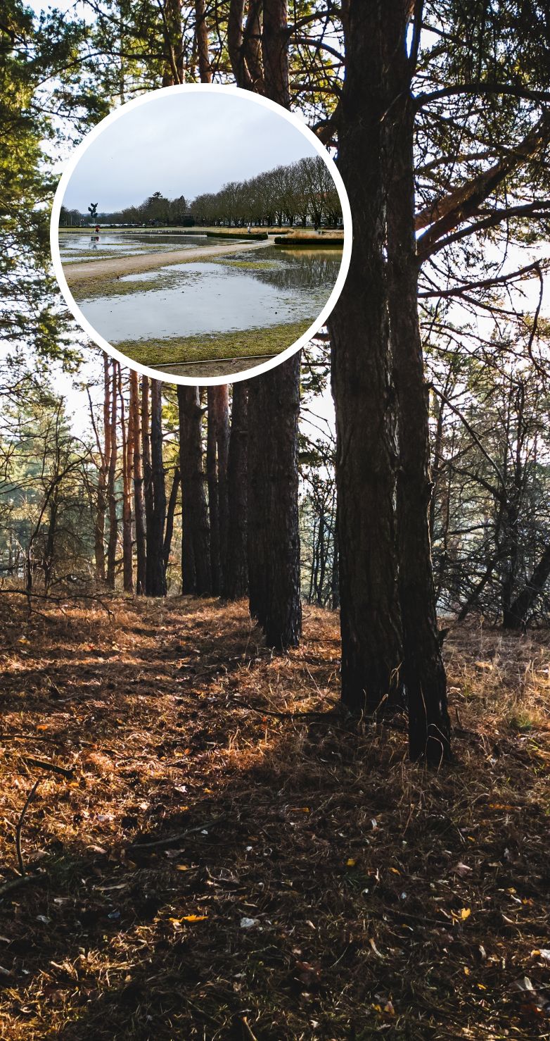 Prognoza pogody na wiosnę 2026 r. Wielka zmiana już w końcu tygodnia