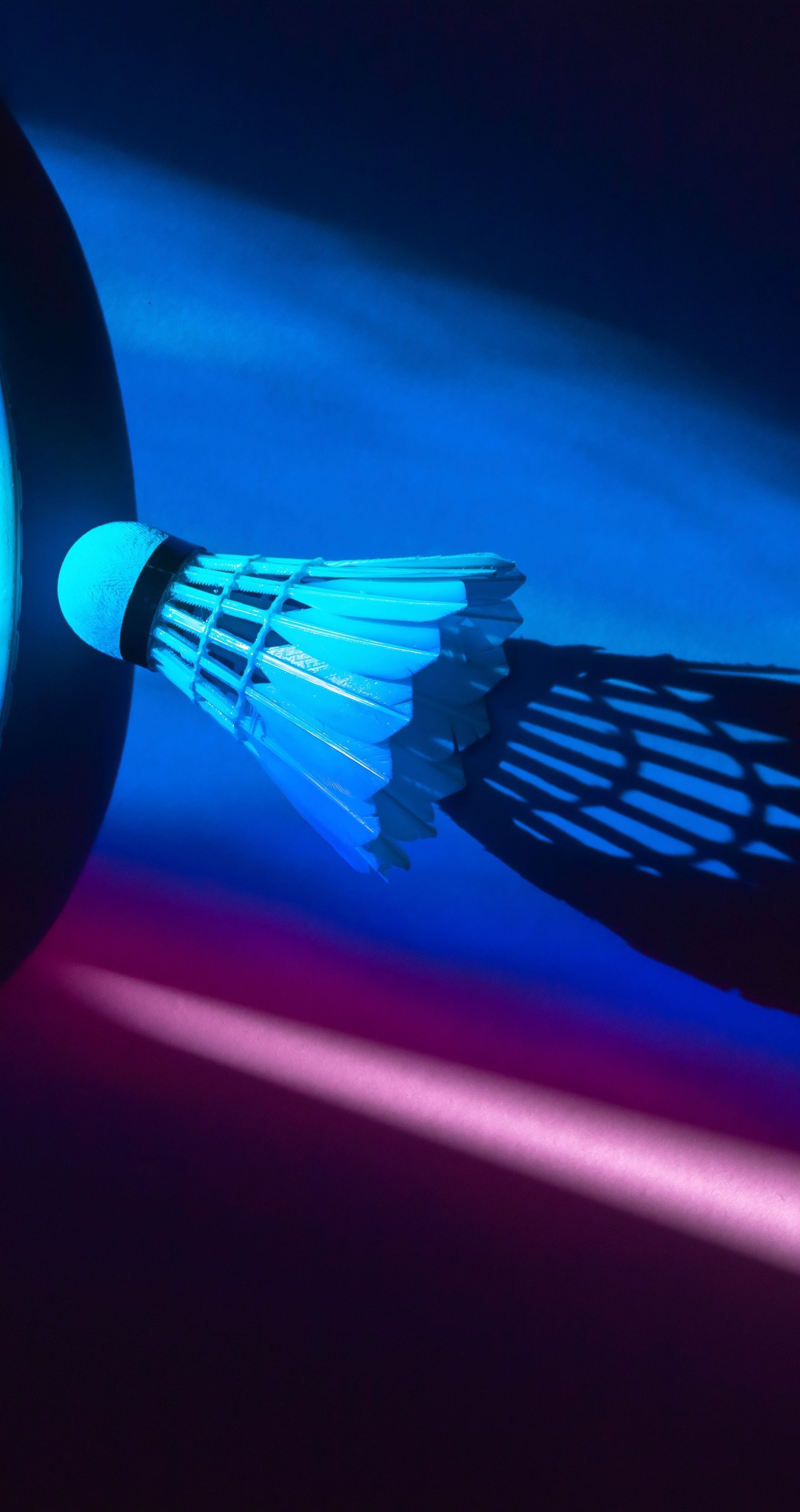 Cud na korcie do badmintona: PiS i KO się pojednały!