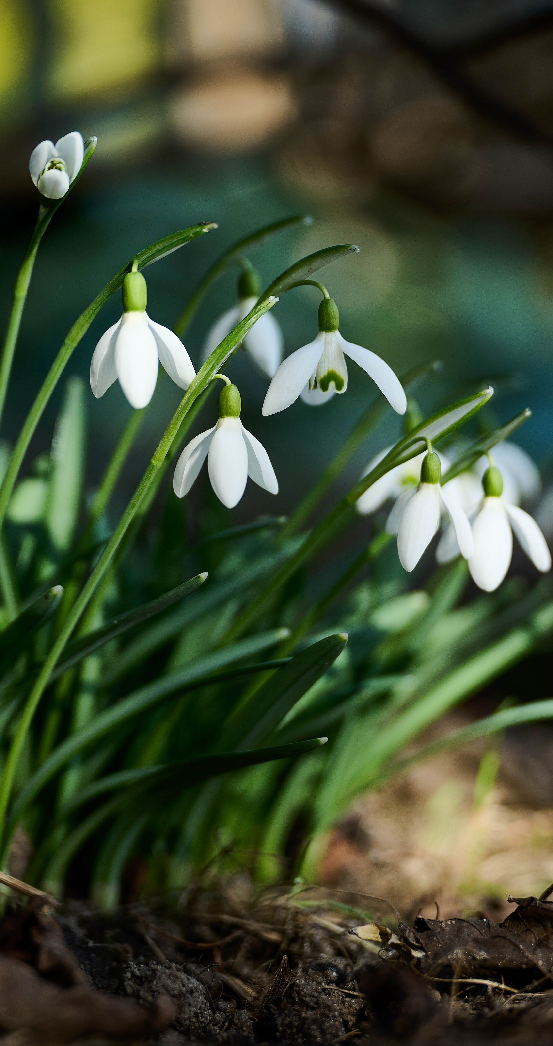 Coraz bliżej wiosny. Mamy najnowszą prognozę pogody