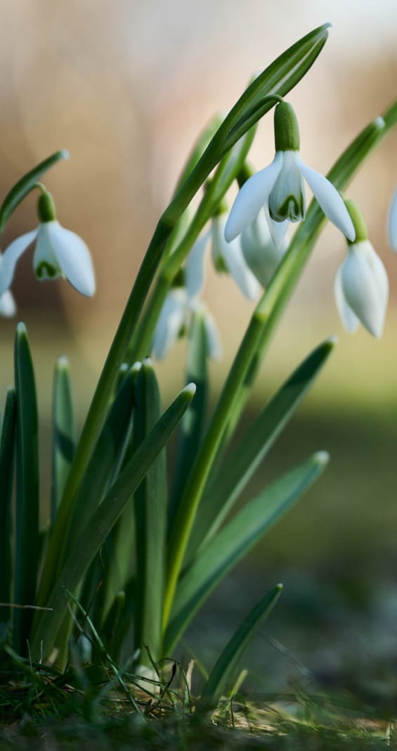 Wiadomo, do kiedy będzie ciepło. W nowych prognozach widać zmianę pogody
