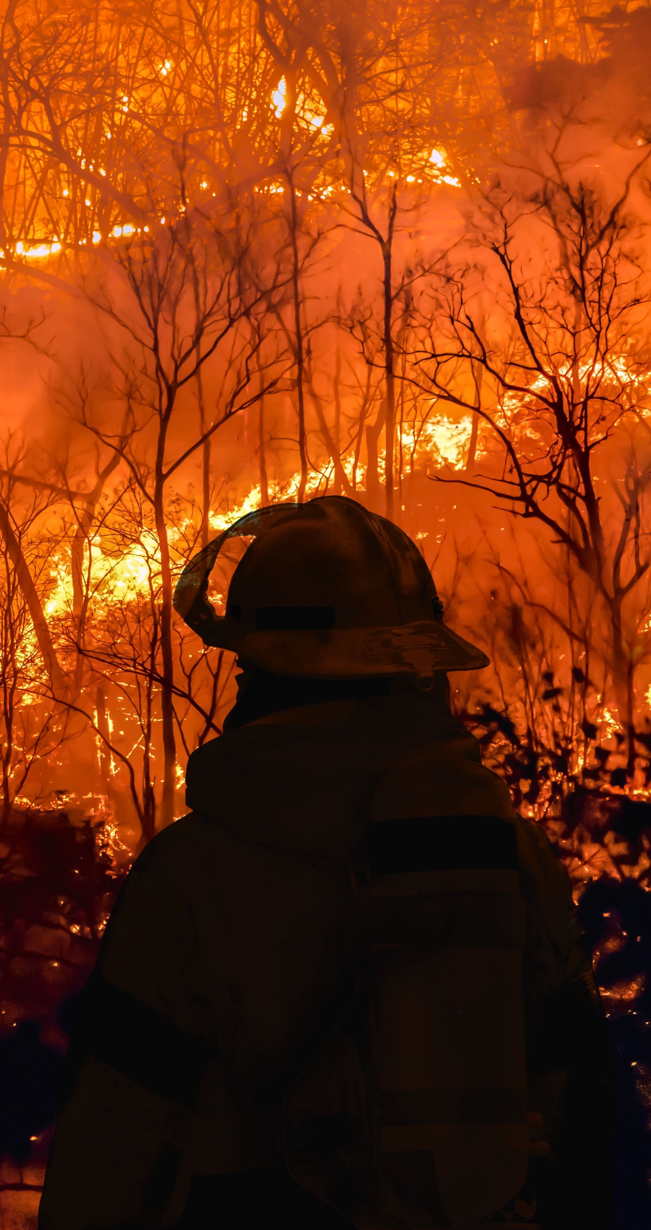 To może być najsilniejsze El Niño w historii. Na upałach się nie skończy