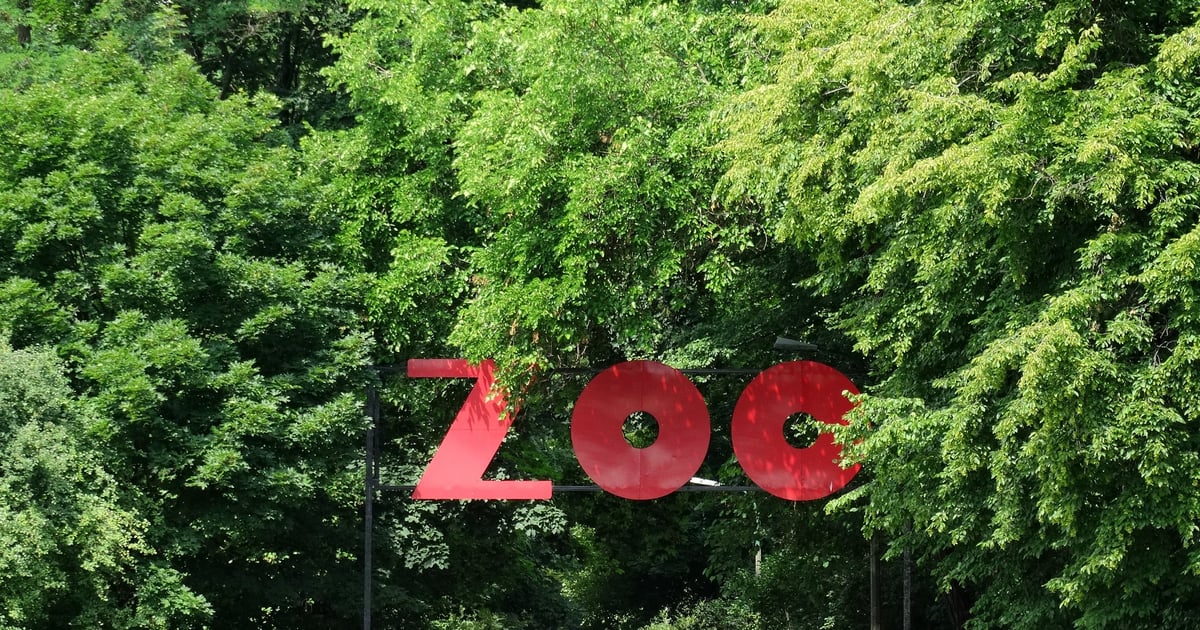 Nagłe zmiany w warszawskim ZOO. Sprawdź, których zwierząt nie zobaczysz podczas wizyty