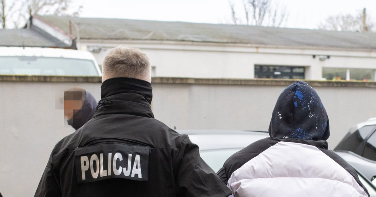 Zbrodnia w Słupsku. Badania DNA rzucają nowe światło na znalezione szczątki