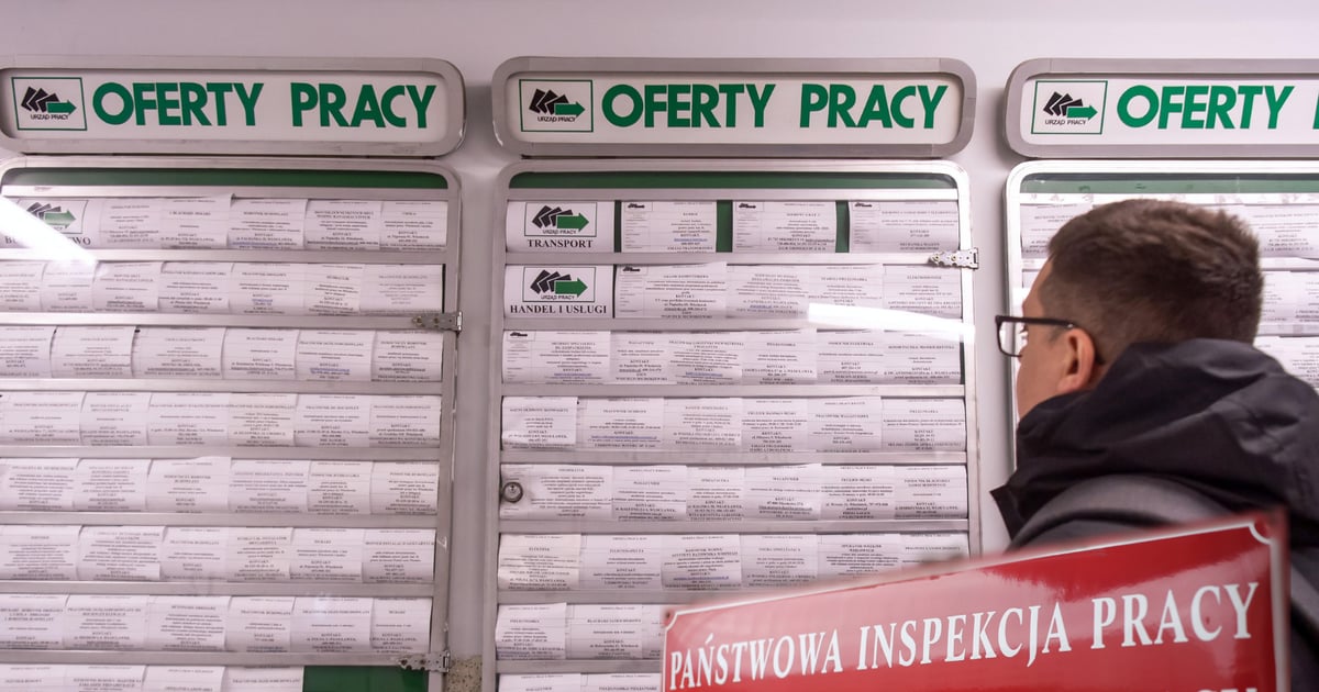 Błąd w ofercie pracy? PIP będzie mogła karać za dyskryminujące nazwy stanowisk. Sprawdź, jakie sankcje planuje rząd