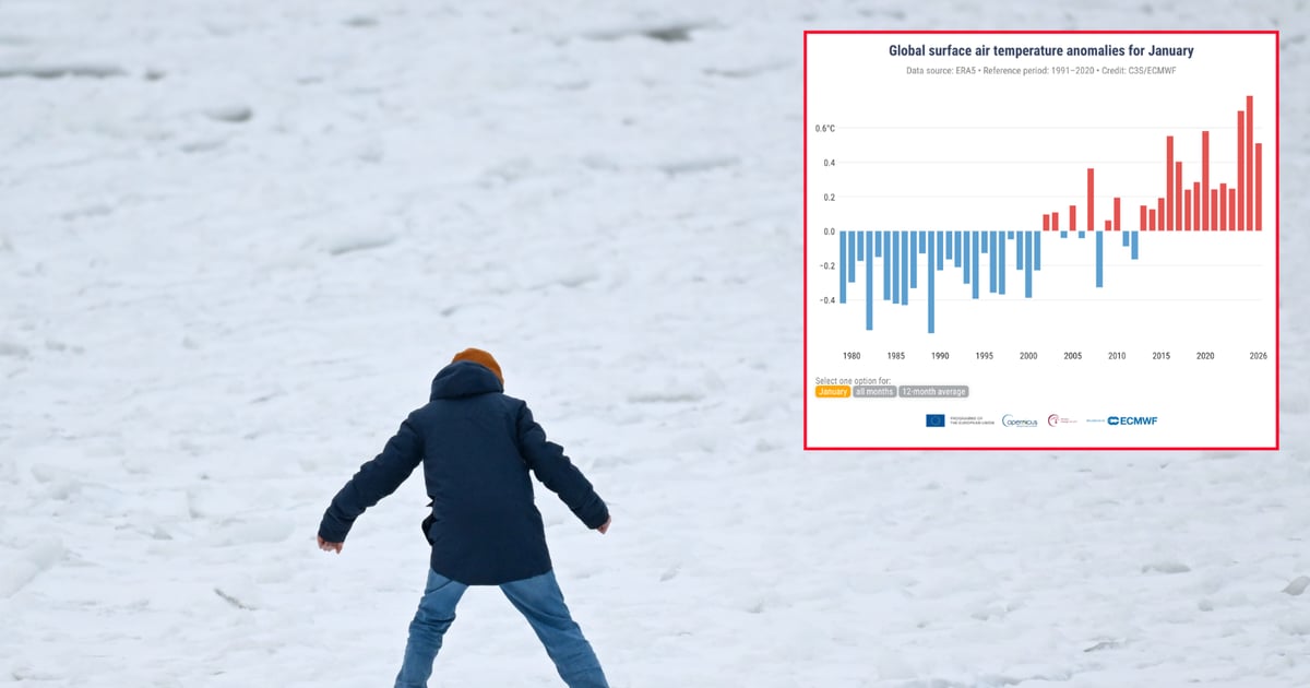 W Polsce zimno, a na świecie piąty najcieplejszy styczeń w historii. "Istotne anomalie dodatnie"