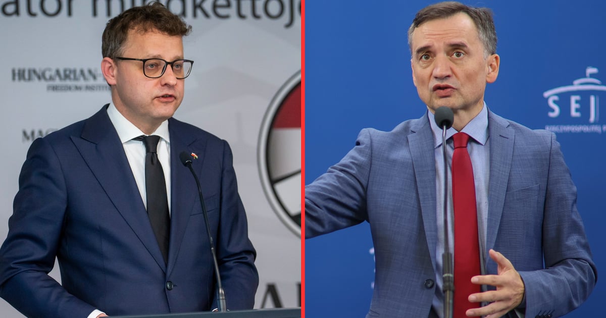„Zwróćcie uwagę kierownikowi”. Nagany dla Ziobro i Romanowskiego