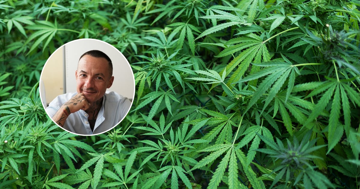 Co Polacy myślą o legalizacji marihuany? Józefaciuk: Sam nie jestem w tym momencie „za”