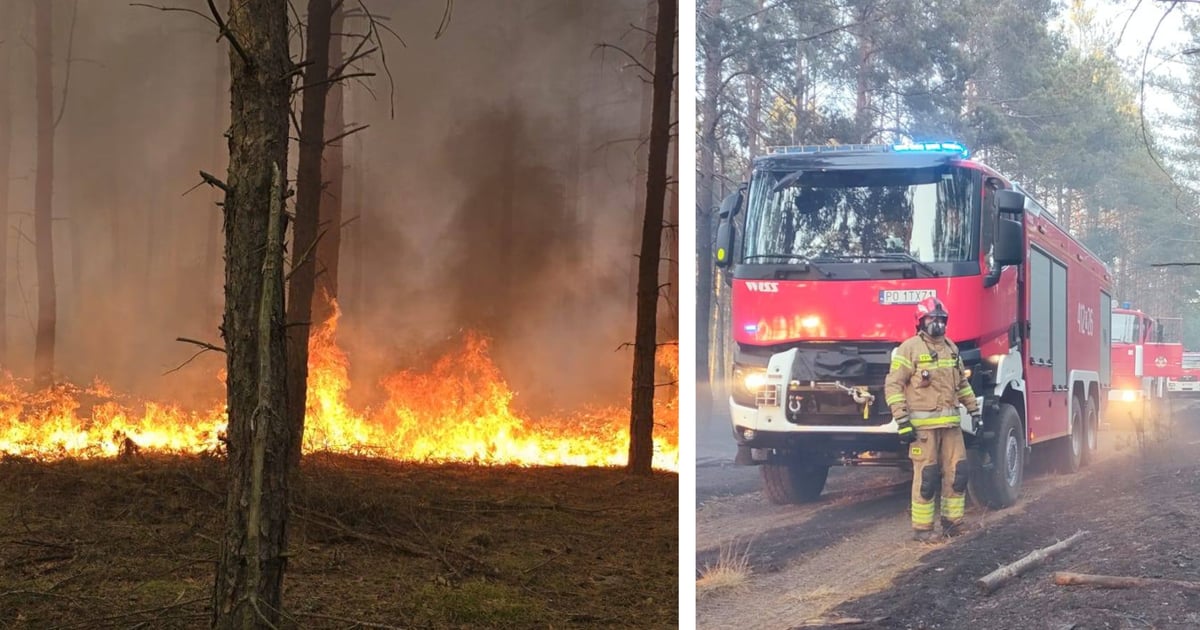 Potężny pożar w Wielkopolsce. Ponad 100 strażaków w akcji