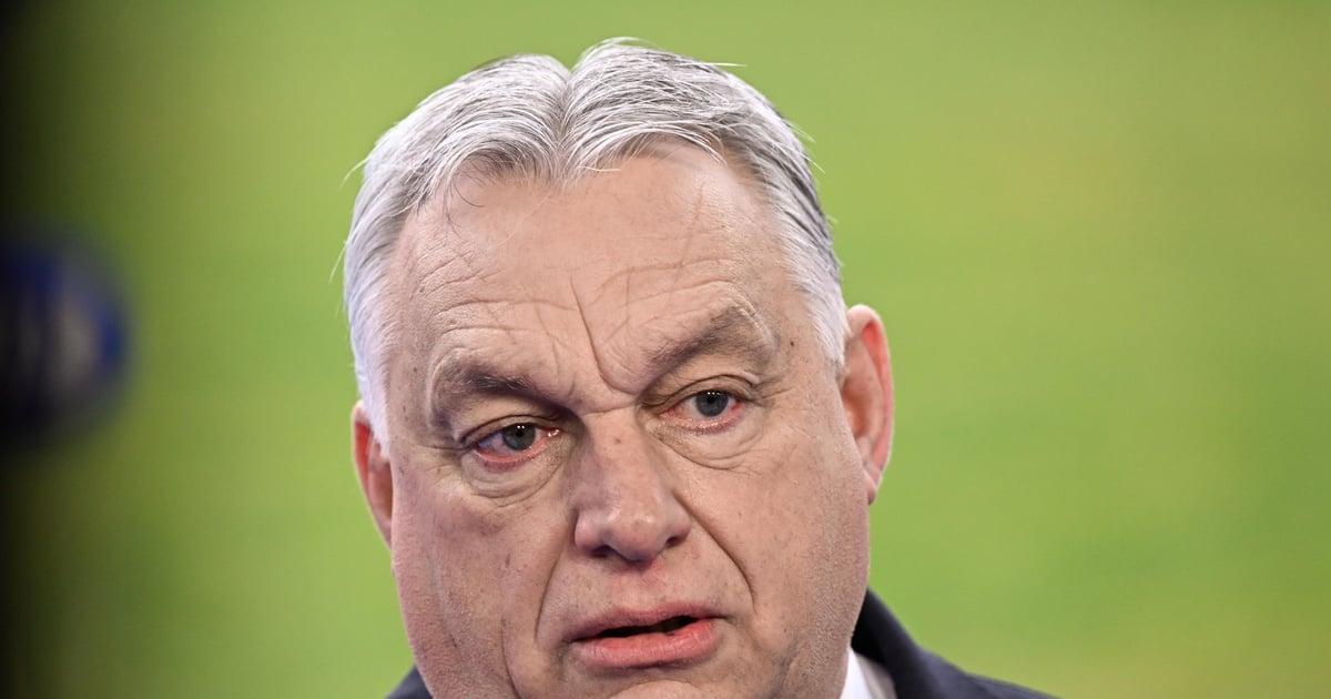 "Najważniejsze wybory od 16 lat". Ekspert: Orbán może stracić władzę na Węgrzech